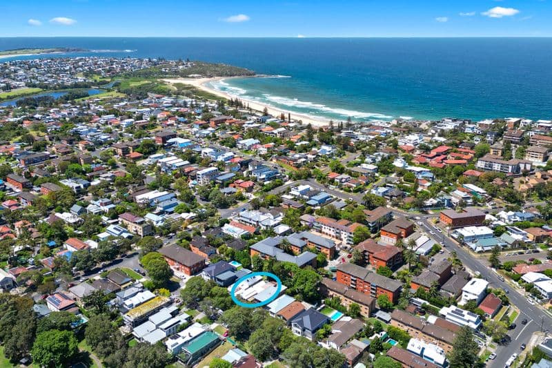 15 Eric Street, Freshwater - Thumbnail 7