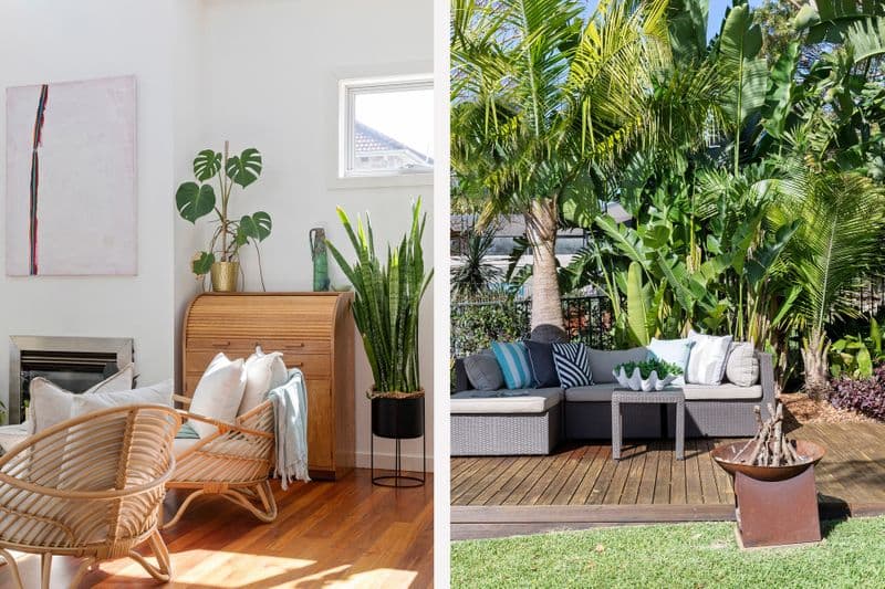 31 Arthur Street, Fairlight - Thumbnail 7
