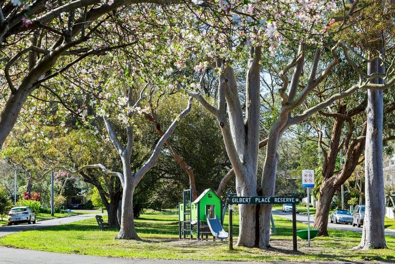 12 Gilbert Place, Frenchs Forest - Thumbnail 4