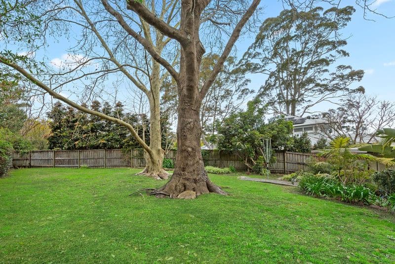 12 Gilbert Place, Frenchs Forest - Thumbnail 6