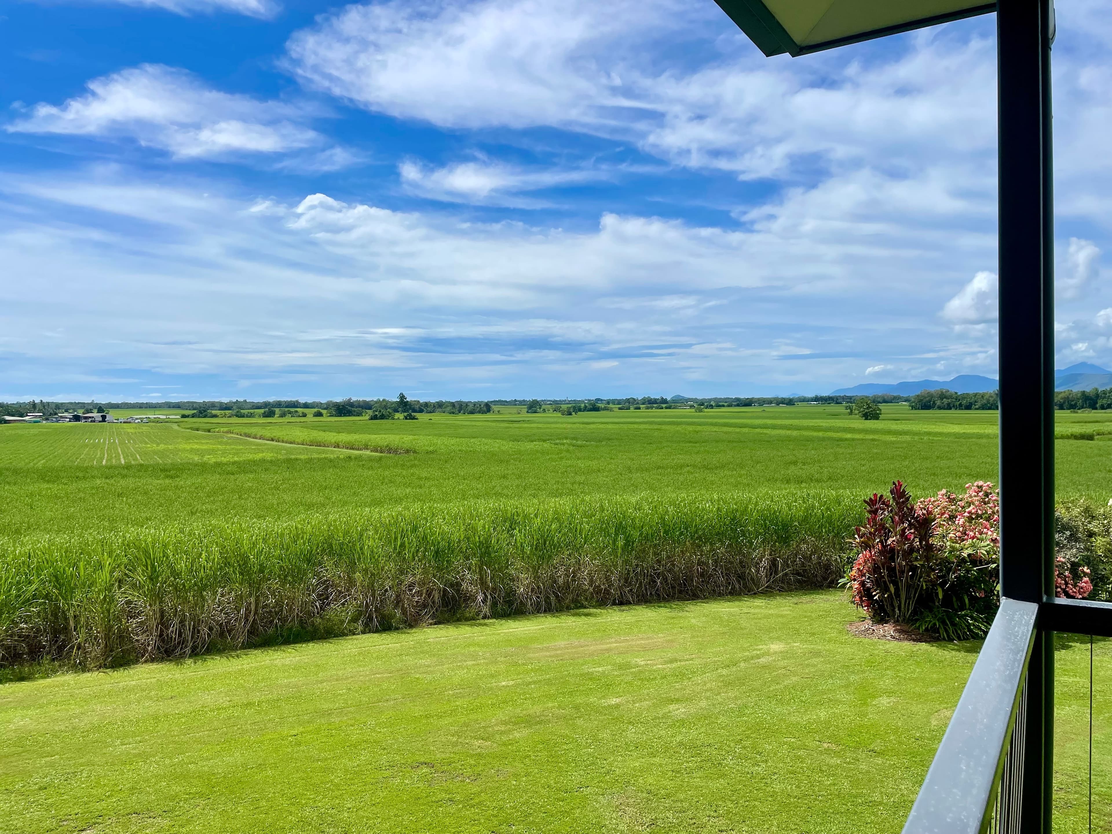 87 Schilds Road, Miallo, MOSSMAN QLD 4873, Miallo - Image 1