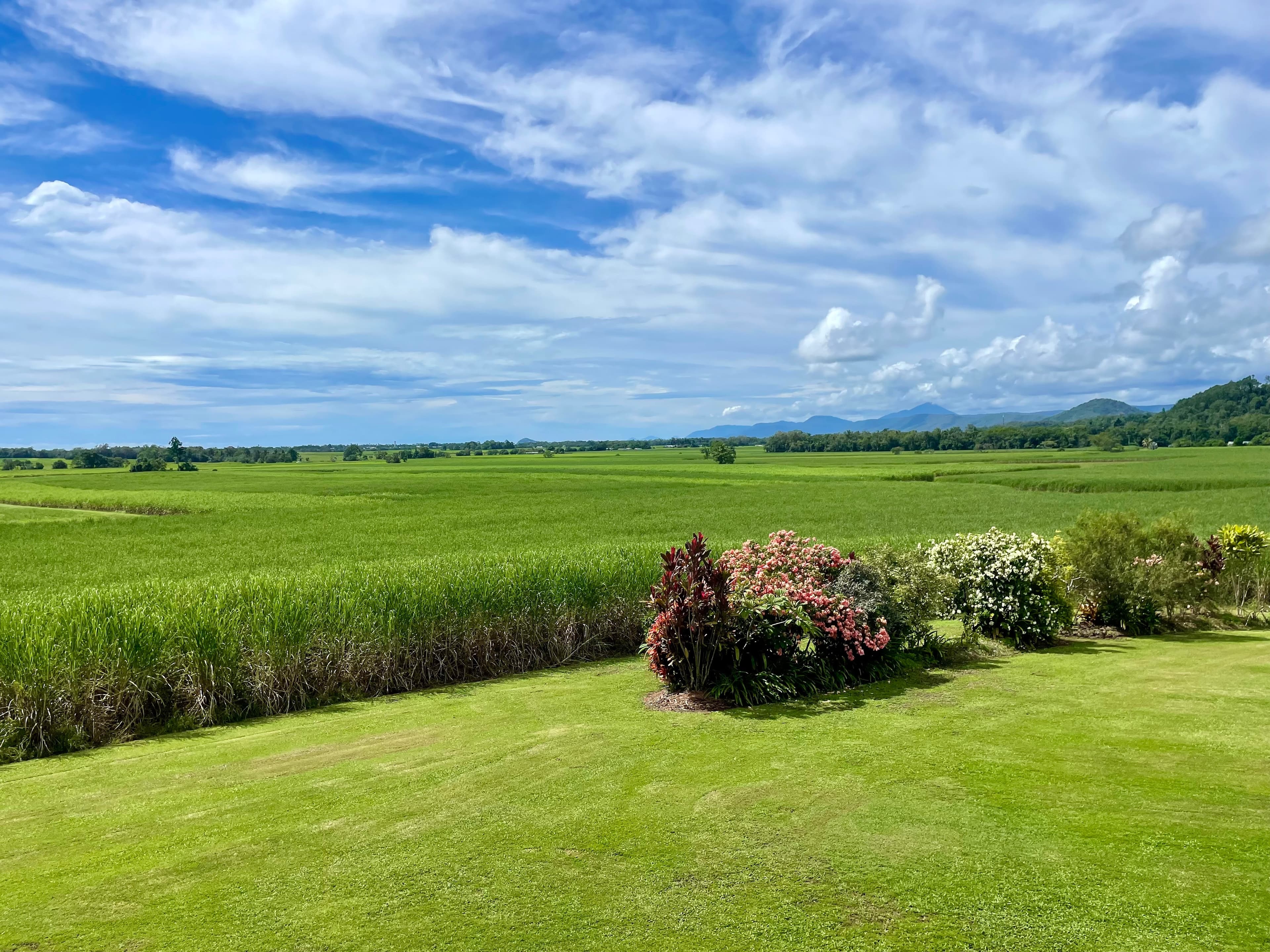 87 Schilds Road, Miallo, MOSSMAN QLD 4873, Miallo - Thumbnail 2