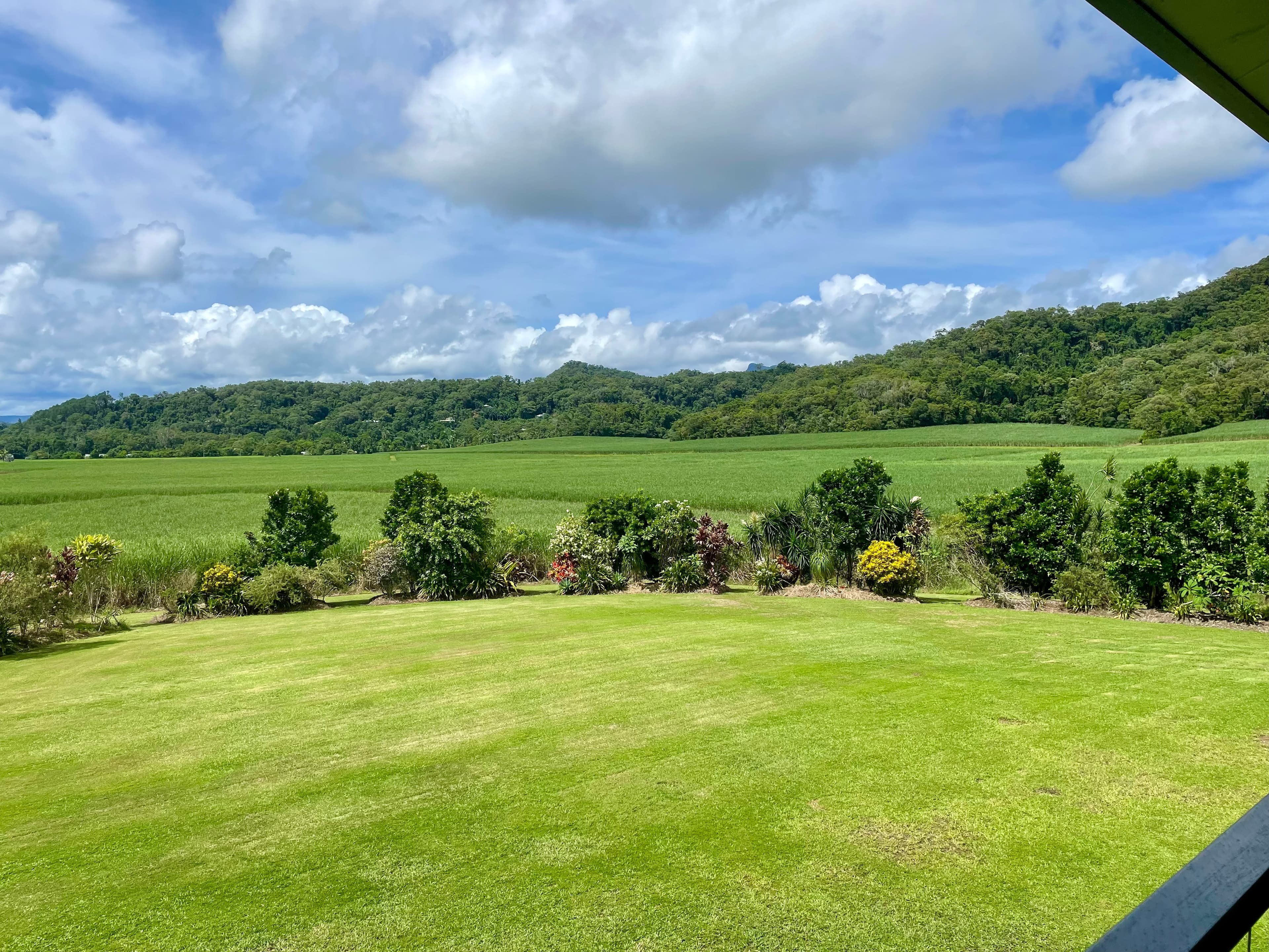 87 Schilds Road, Miallo, MOSSMAN QLD 4873, Miallo - Thumbnail 5