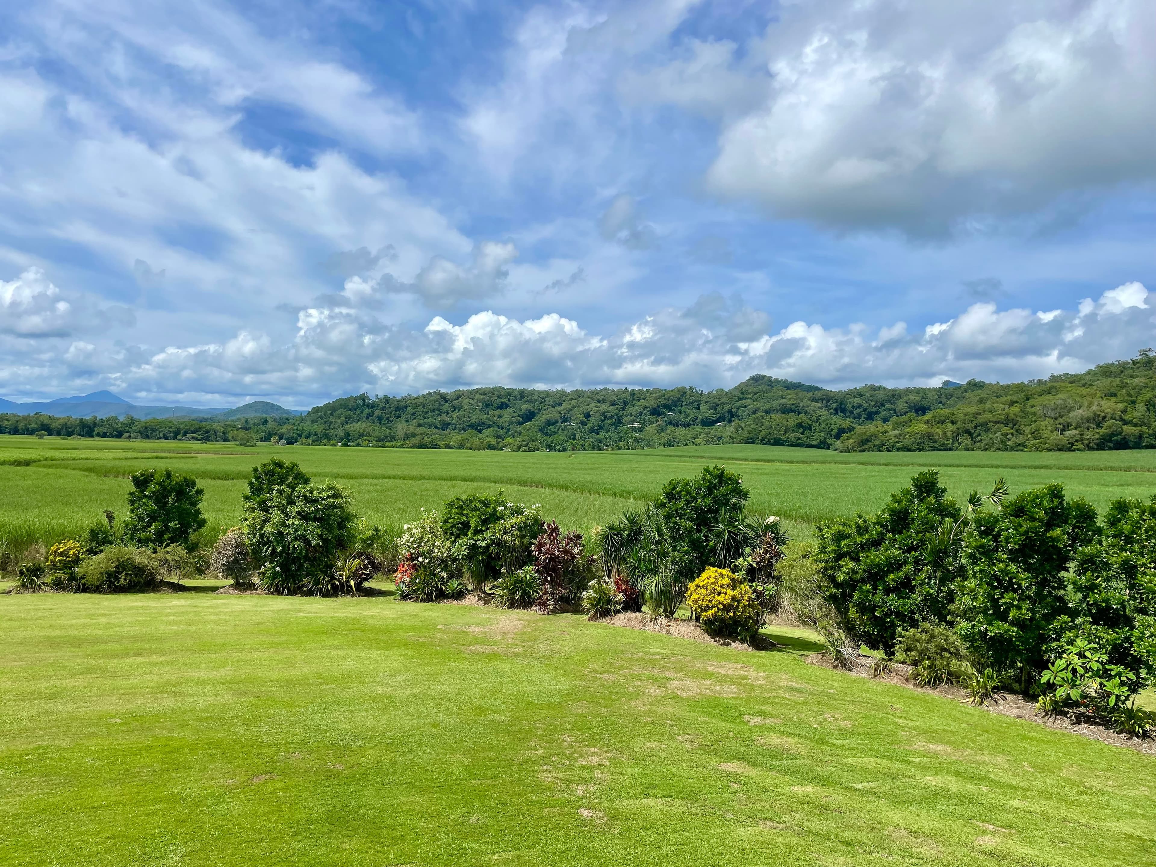 87 Schilds Road, Miallo, MOSSMAN QLD 4873, Miallo - Thumbnail 7