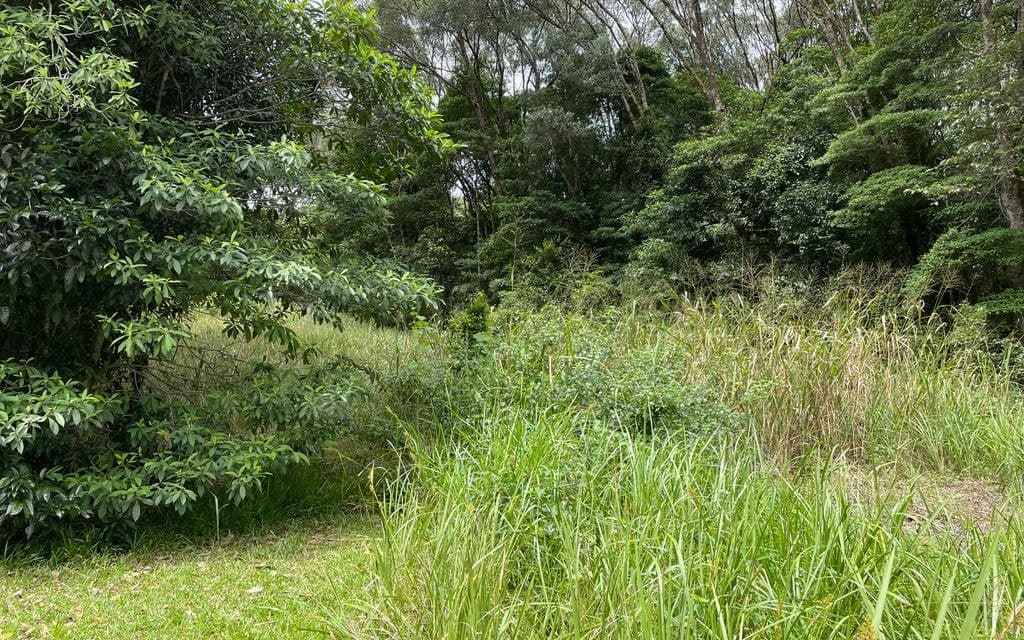 Lot 3 Mossman Mount Molloy Road, JULATTEN QLD 4871, Julatten - Thumbnail 8