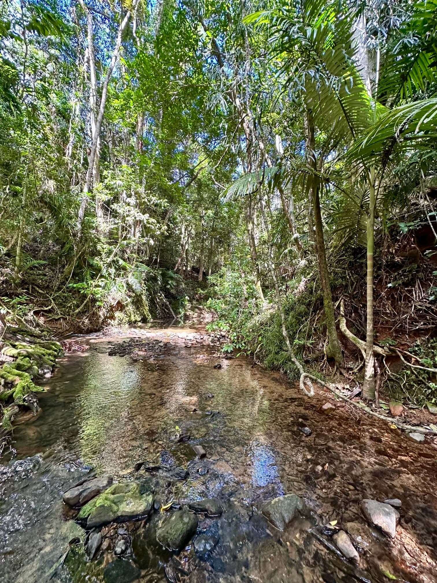 Lot 150 Wattle Close, Cow Bay, DAINTREE QLD 4873, Cow Bay - Thumbnail 2