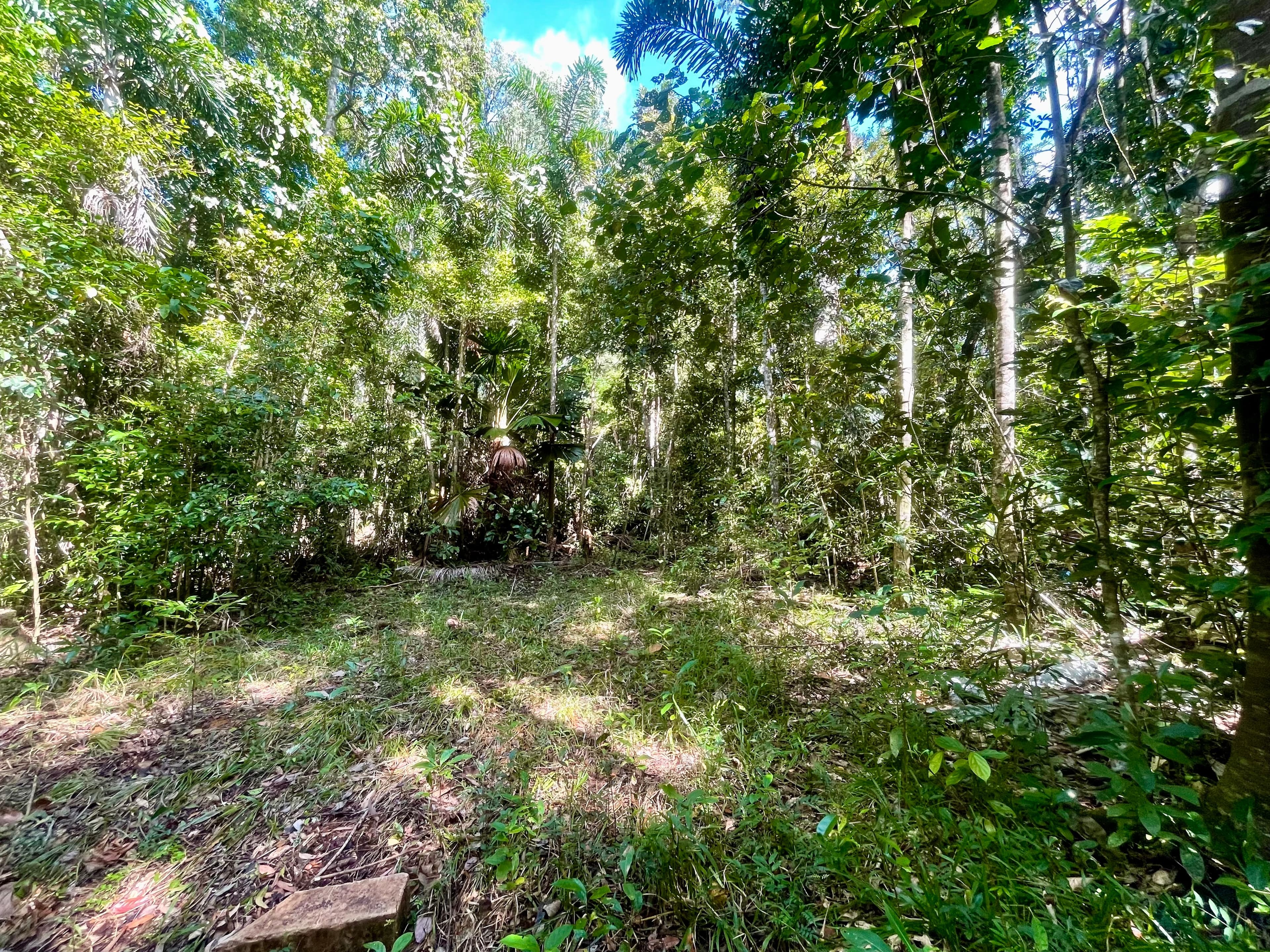 Lot 150 Wattle Close, Cow Bay, DAINTREE QLD 4873, Cow Bay - Thumbnail 3