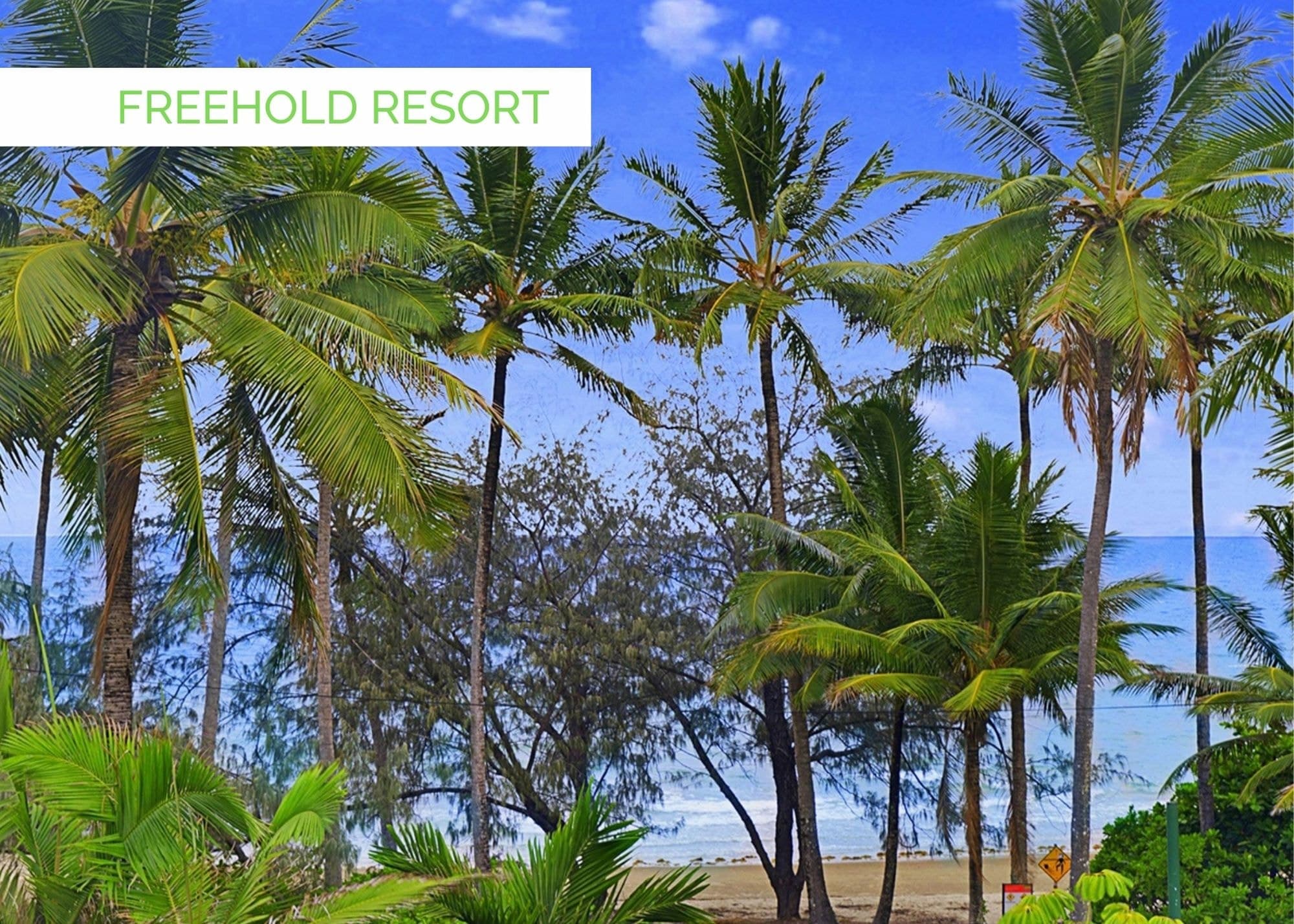 72 Macrossan Street, PORT DOUGLAS QLD 4877, Port Douglas - Thumbnail 3