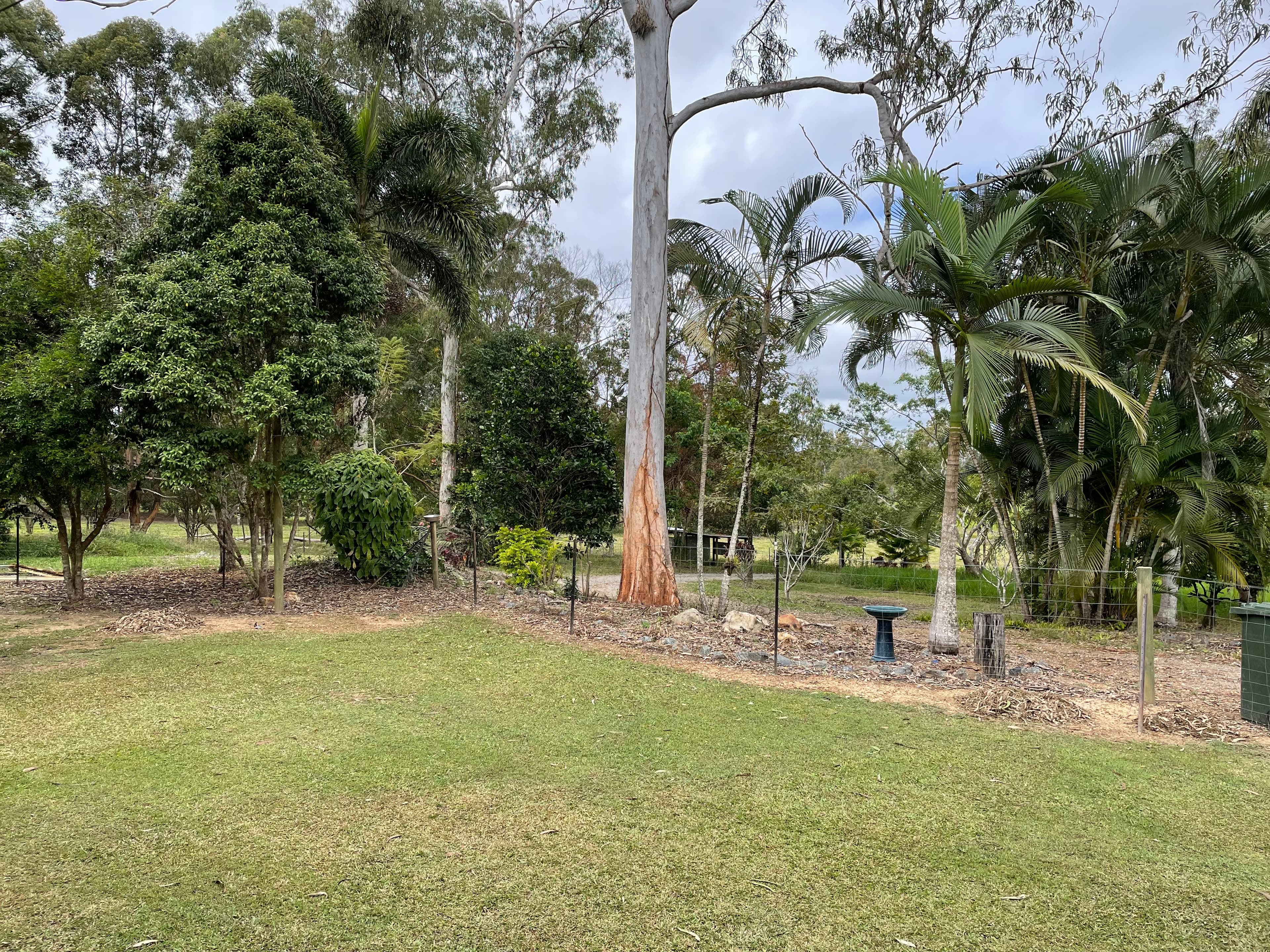 95 McLeans Bridge Road, JULATTEN QLD 4871, Julatten - Thumbnail 3