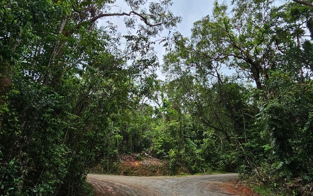 Lot 232 White Beech Road, Cow Bay, DAINTREE QLD 4873, Cow Bay - Image 1