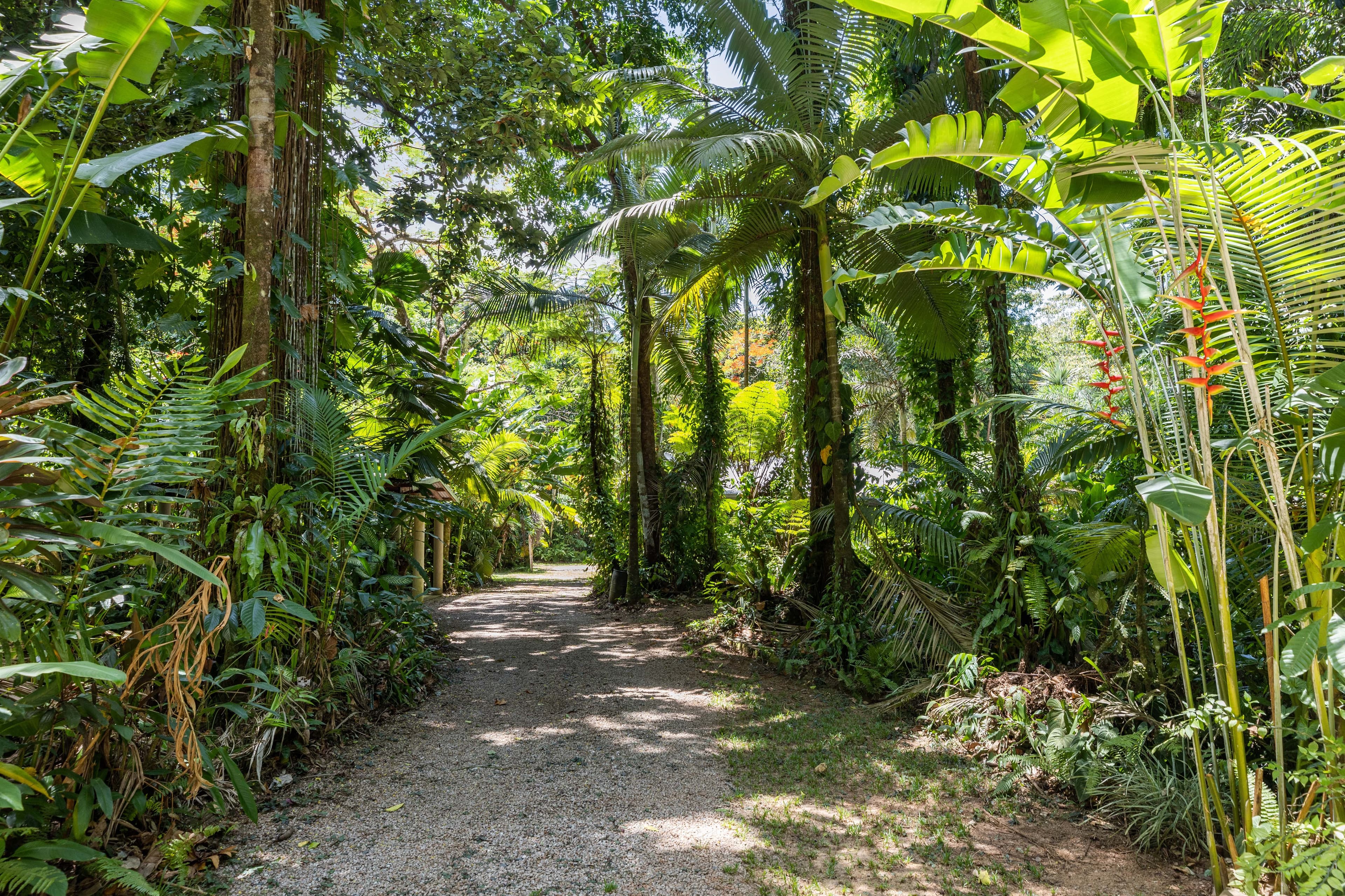 25 Hickory Road, Cow Bay, DAINTREE QLD 4873, Cow Bay - Image 1