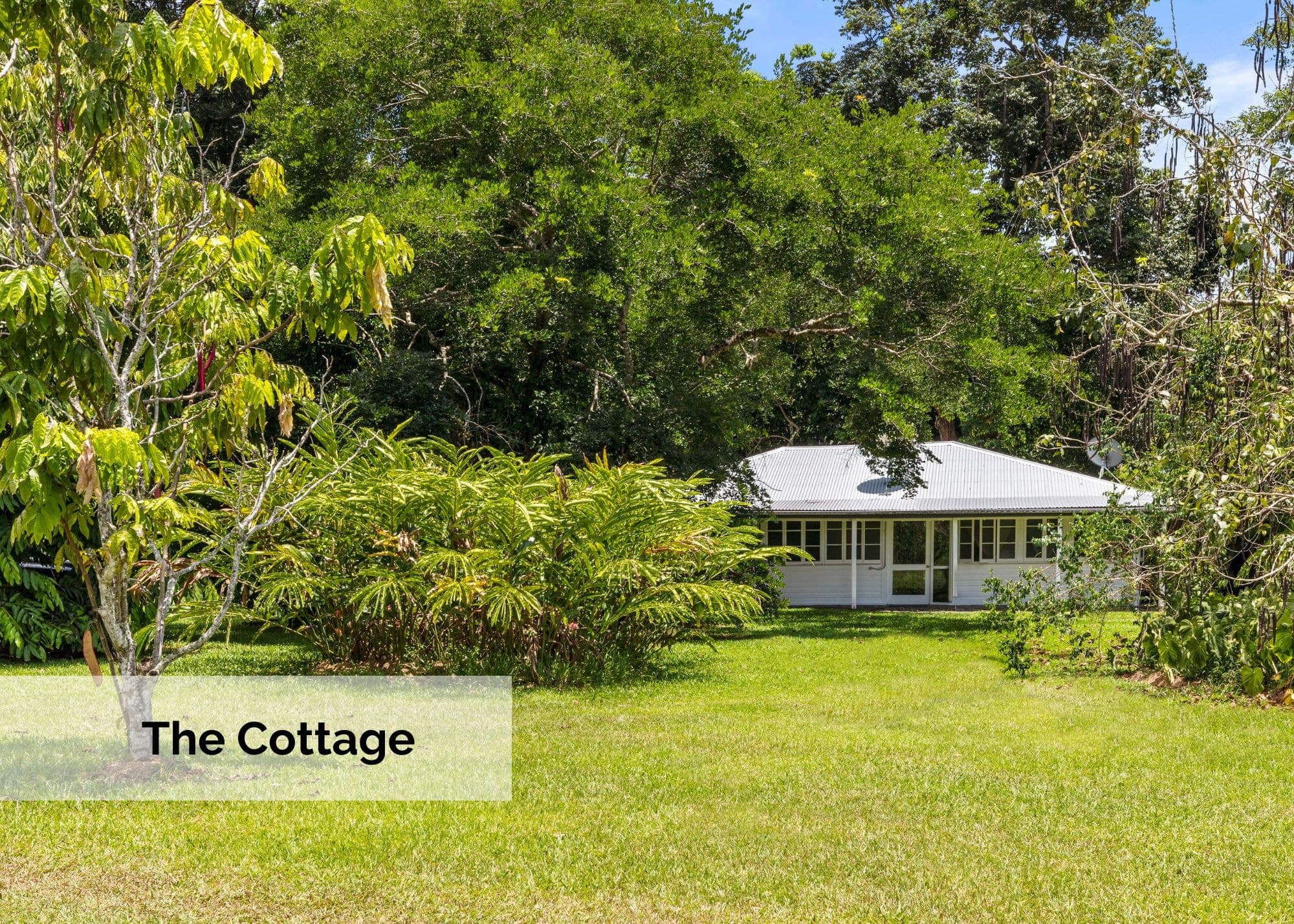 23 Karnak Road, Whyanbeel, MOSSMAN QLD 4873, Whyanbeel - Thumbnail 4