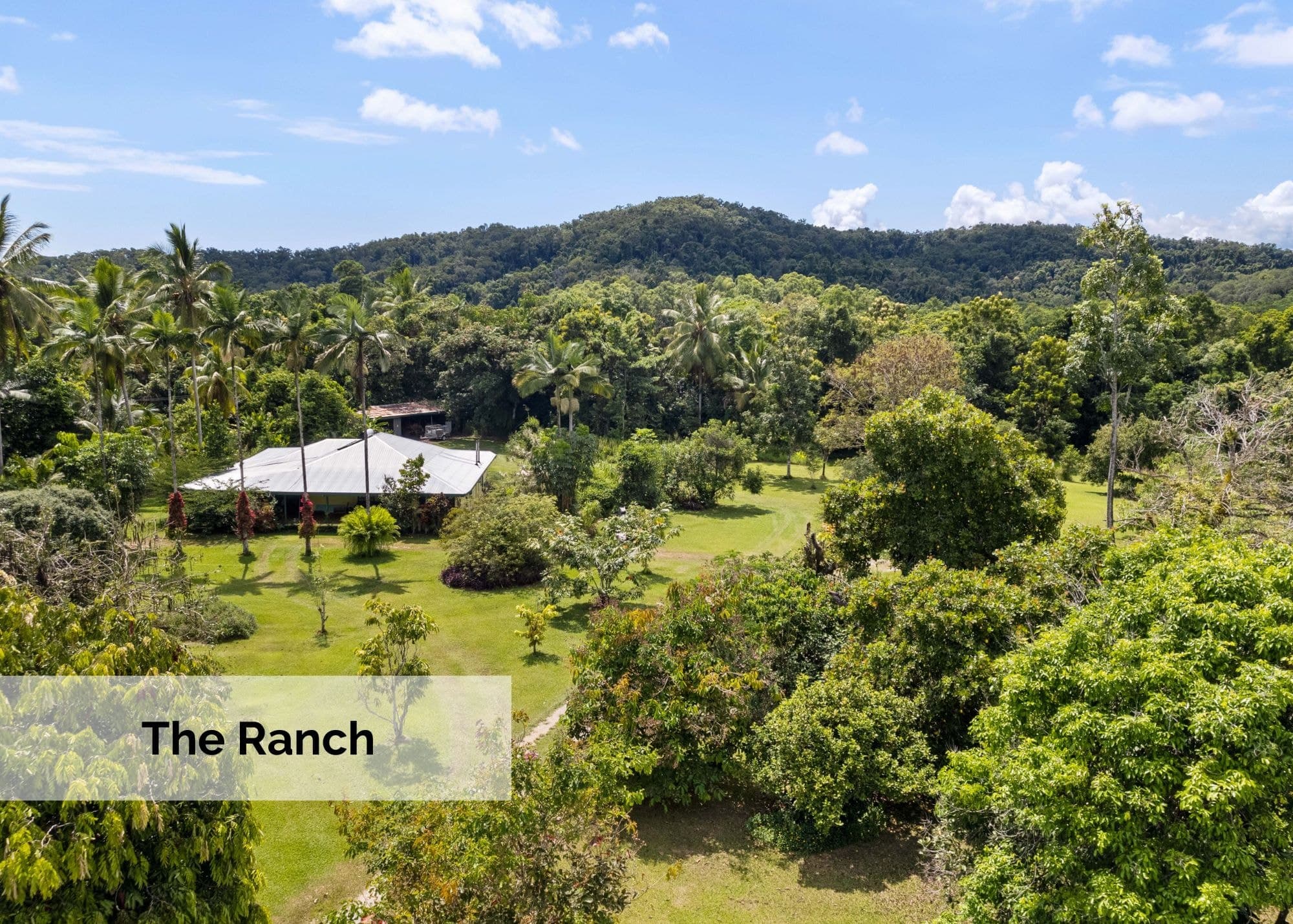 23 Karnak Road, Whyanbeel, MOSSMAN QLD 4873, Whyanbeel - Thumbnail 5