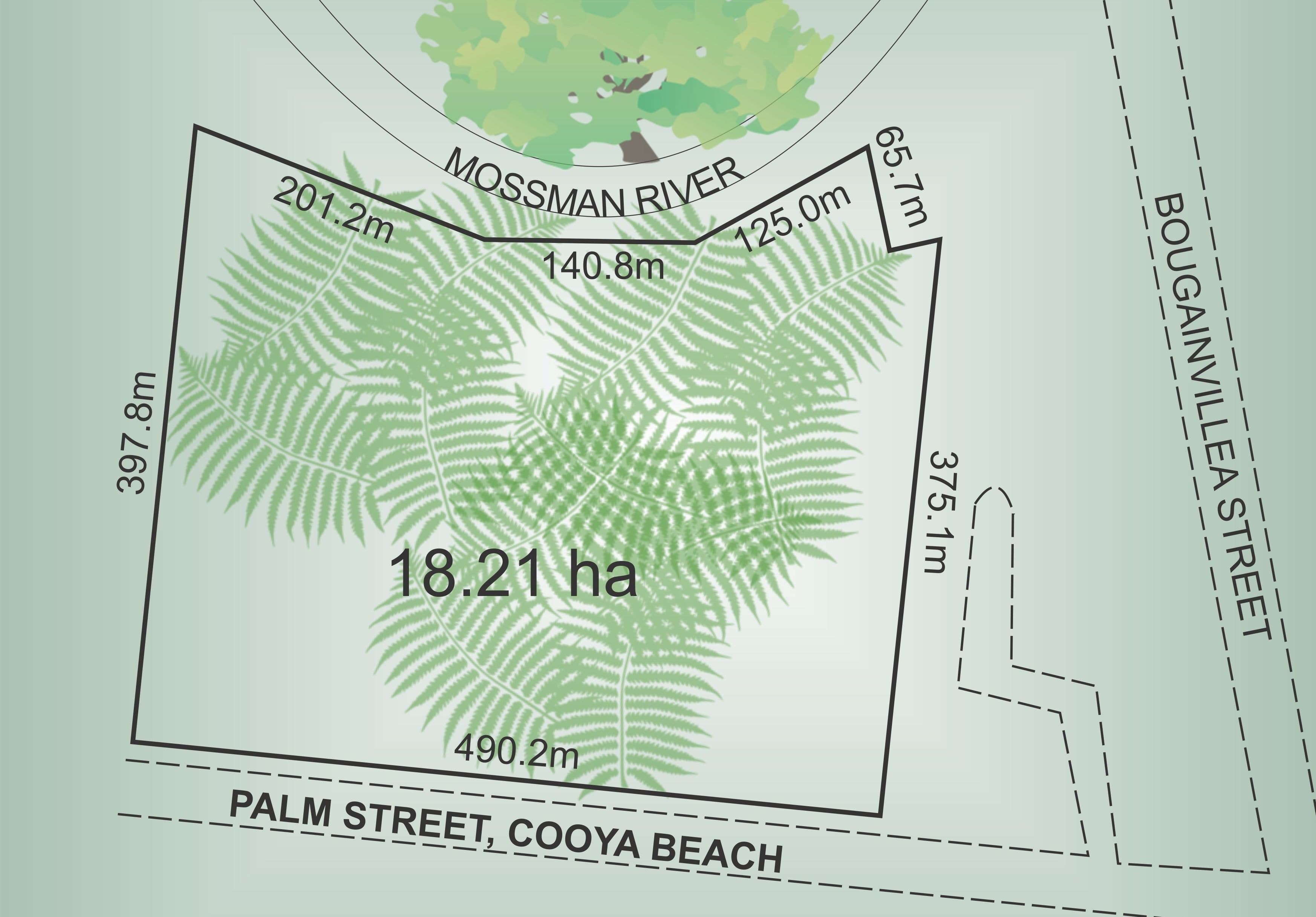 Lot 12 Bonnie Doon Road, COOYA BEACH QLD 4873, Cooya Beach - Thumbnail 4