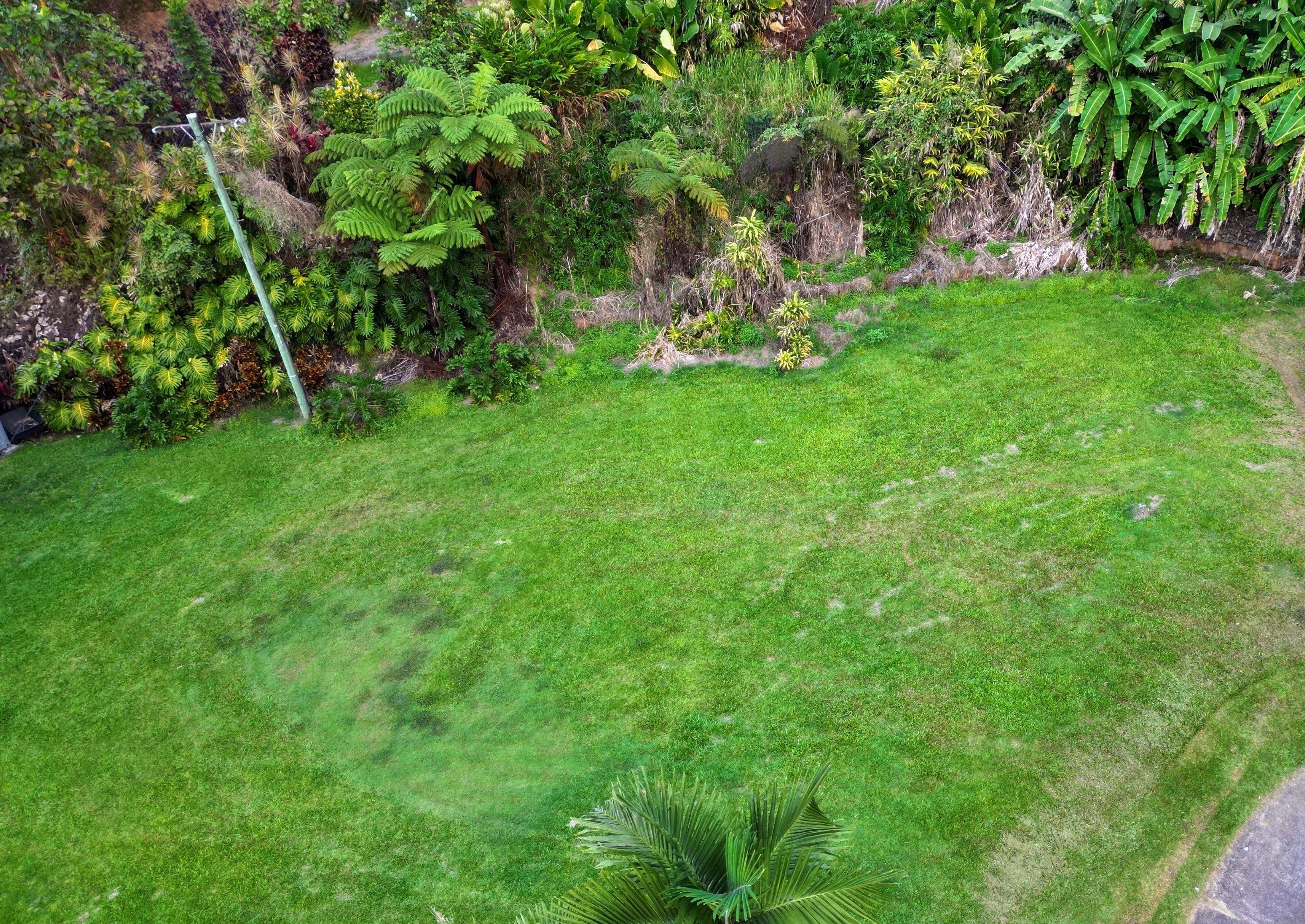 1295 Mossman Daintree Road, ROCKY POINT QLD 4873, Rocky Point - Thumbnail 3