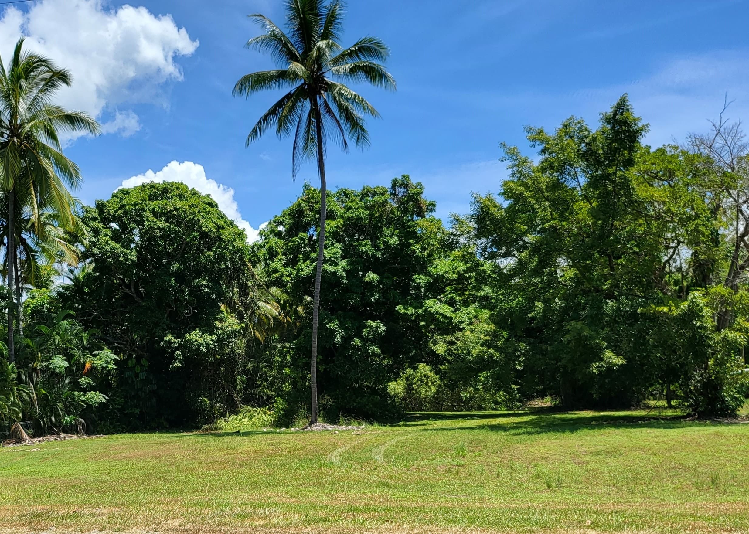 37 Bougainvillea Street, COOYA BEACH QLD 4873, Cooya Beach - Thumbnail 2