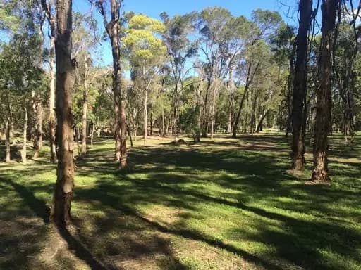 Chandler, Gumdale - Thumbnail 2