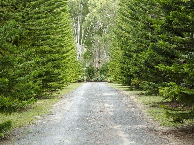 Peregian Beach, Peregian Beach - Thumbnail 8