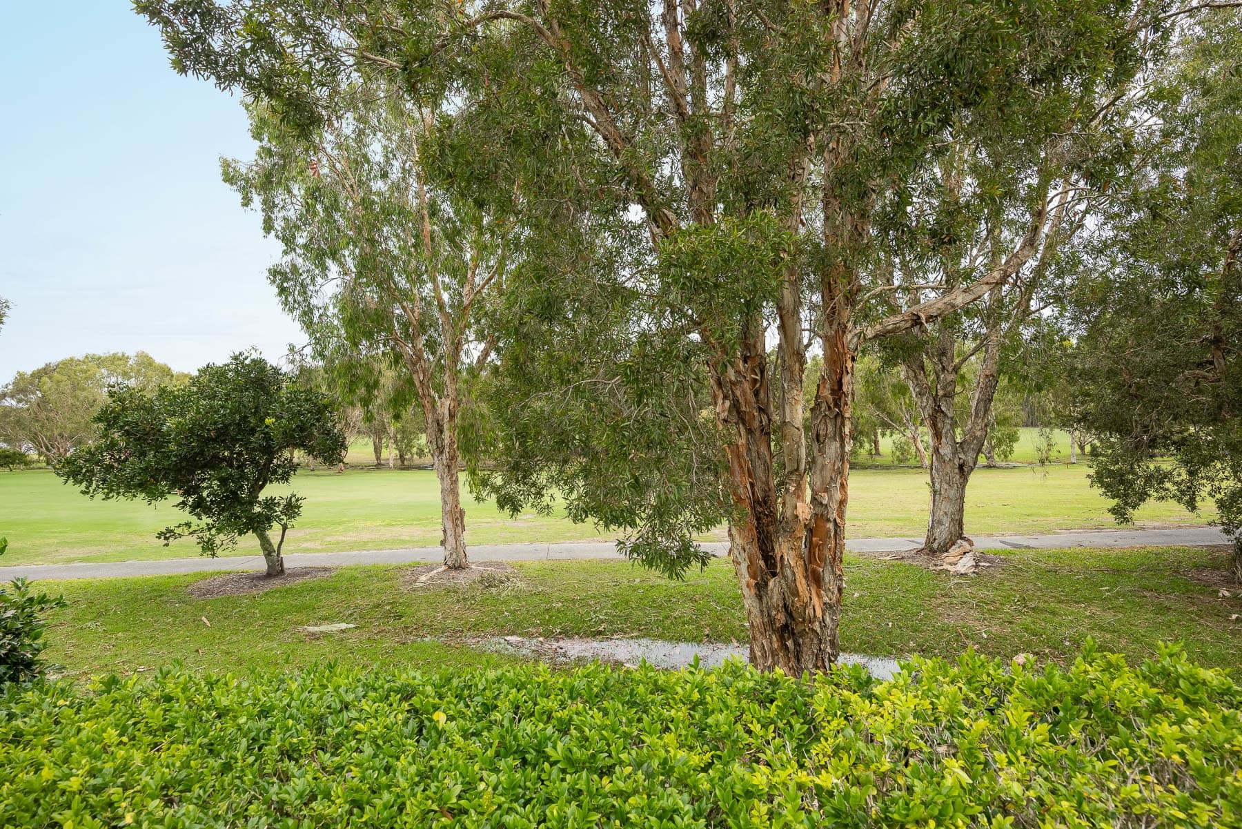 Peregian Springs, Peregian Springs - Thumbnail 8