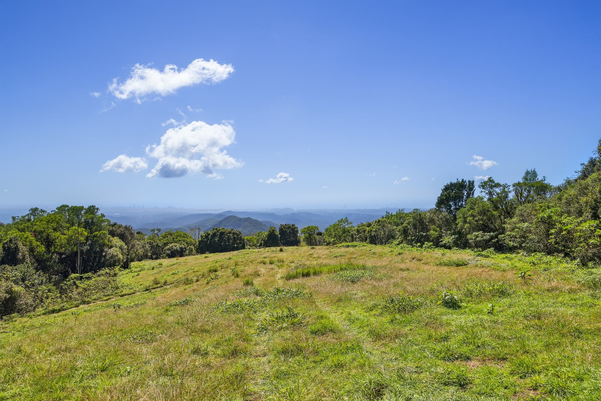 Springbrook, Springbrook - Thumbnail 7