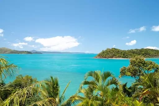 Shute Harbour, Shute Harbour - Thumbnail 2