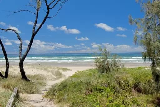 Peregian Springs, Peregian Springs - Thumbnail 4