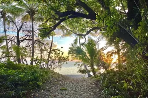 Port Douglas, Port Douglas - Thumbnail 6