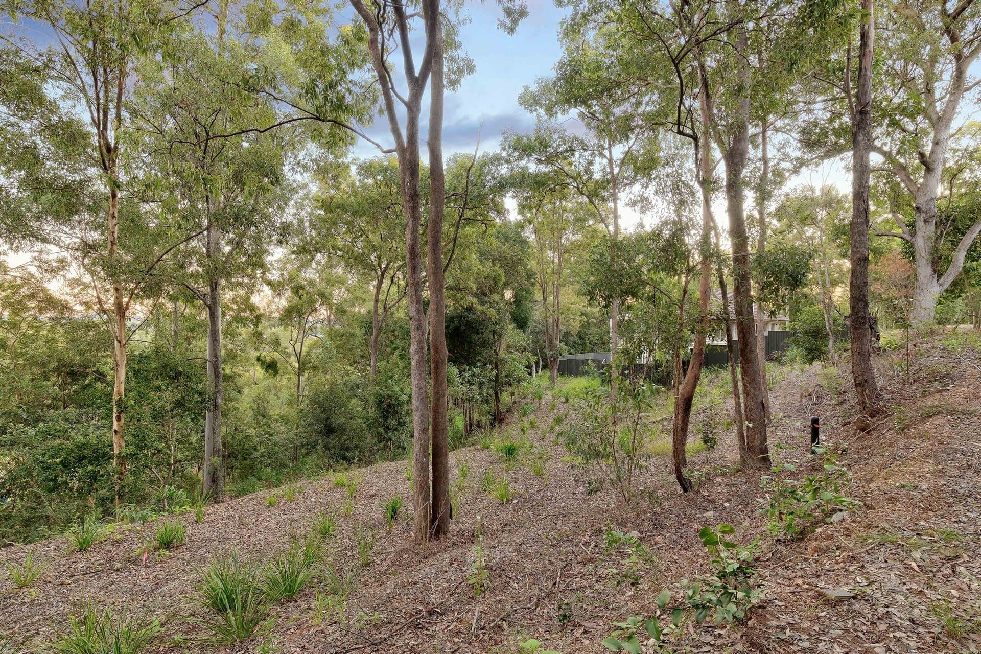 Fig Tree Pocket, Fig Tree Pocket - Thumbnail 8