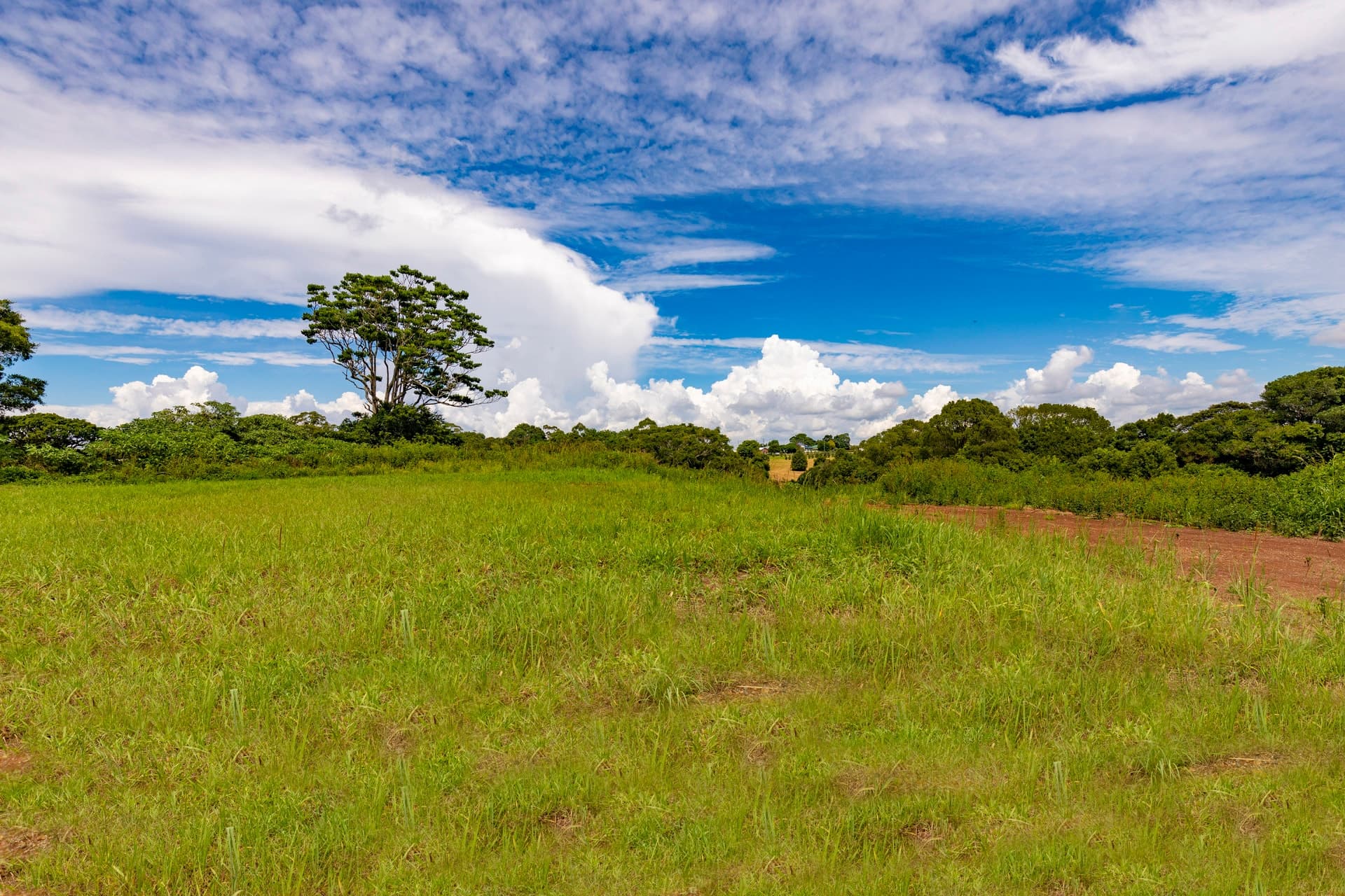 Maleny, Maleny - Thumbnail 6