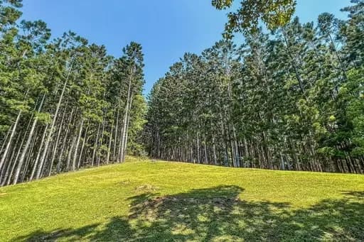 Currumbin Valley, Currumbin Valley - Image 1