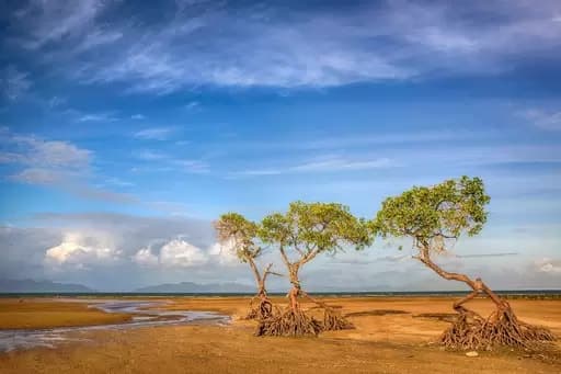 Brisk Bay, Bowen - Thumbnail 4