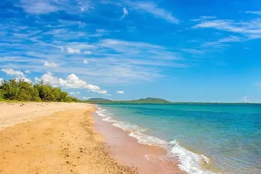 Brisk Bay, Bowen - Thumbnail 5