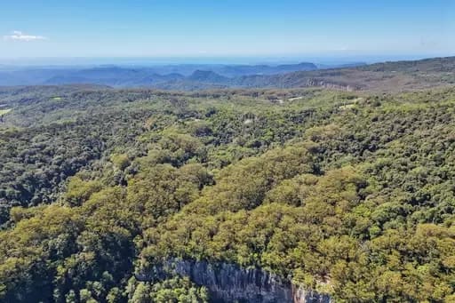 Springbrook, Springbrook - Thumbnail 4