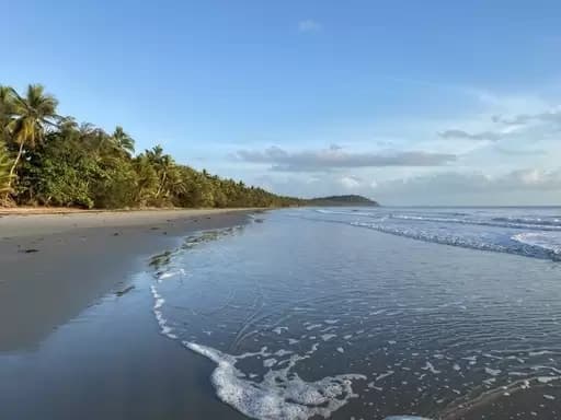 Port Douglas, Port Douglas - Thumbnail 4