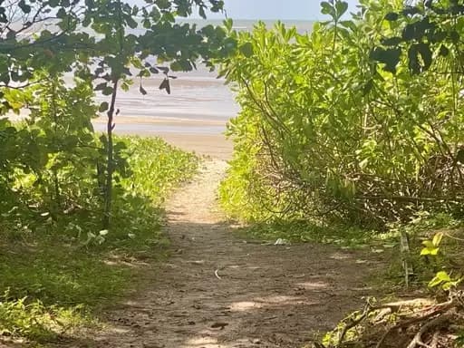Port Douglas, Port Douglas - Thumbnail 5