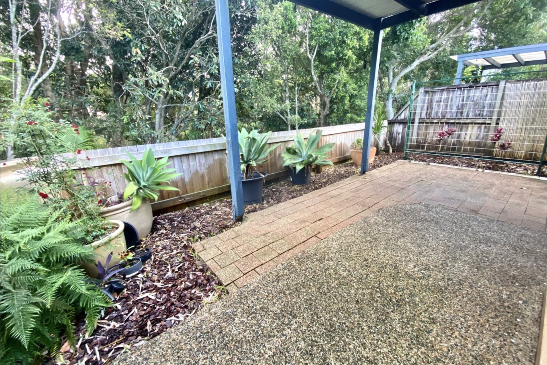 Buderim, Buderim - Thumbnail 6