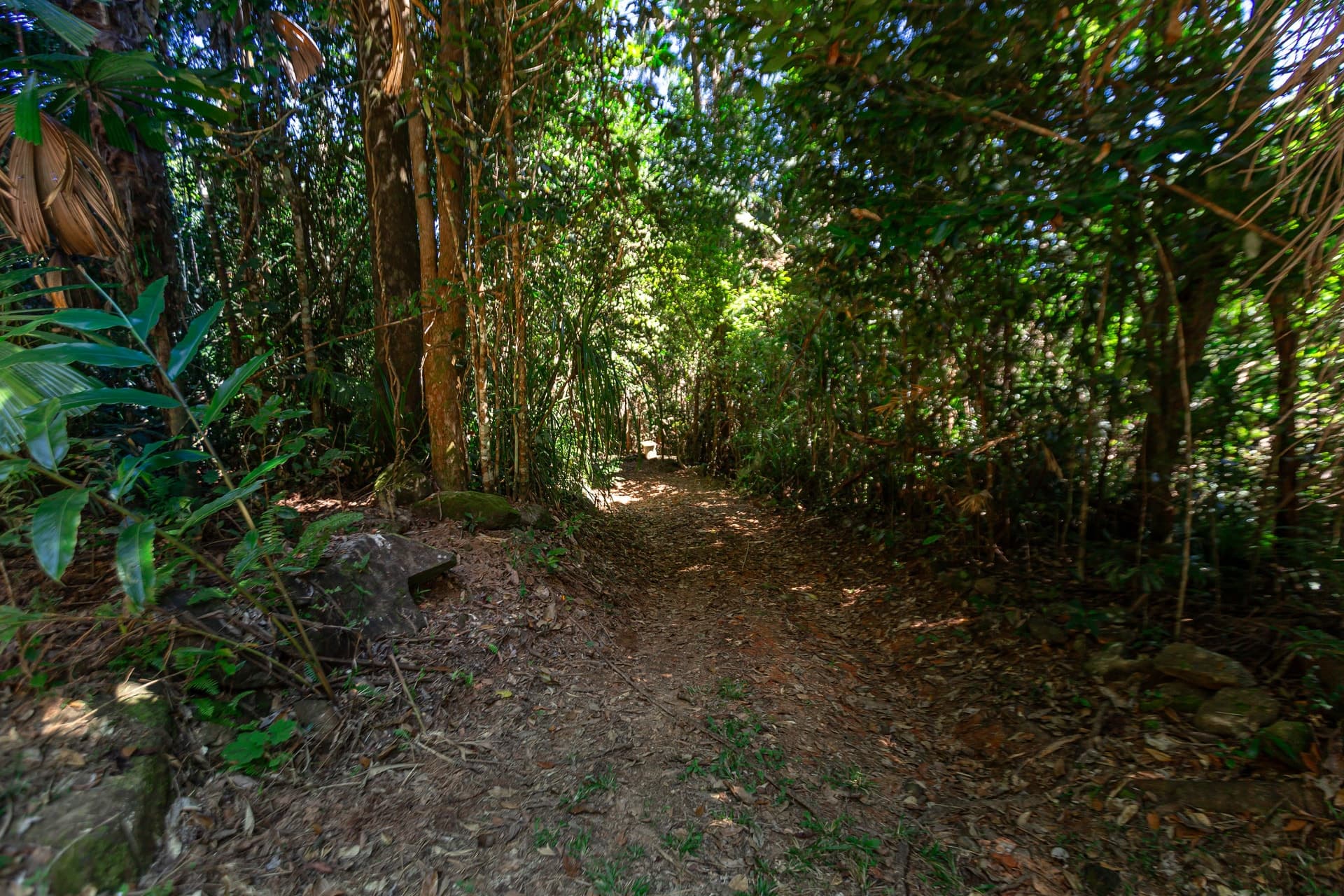 Forest Creek, Forest Creek - Thumbnail 6