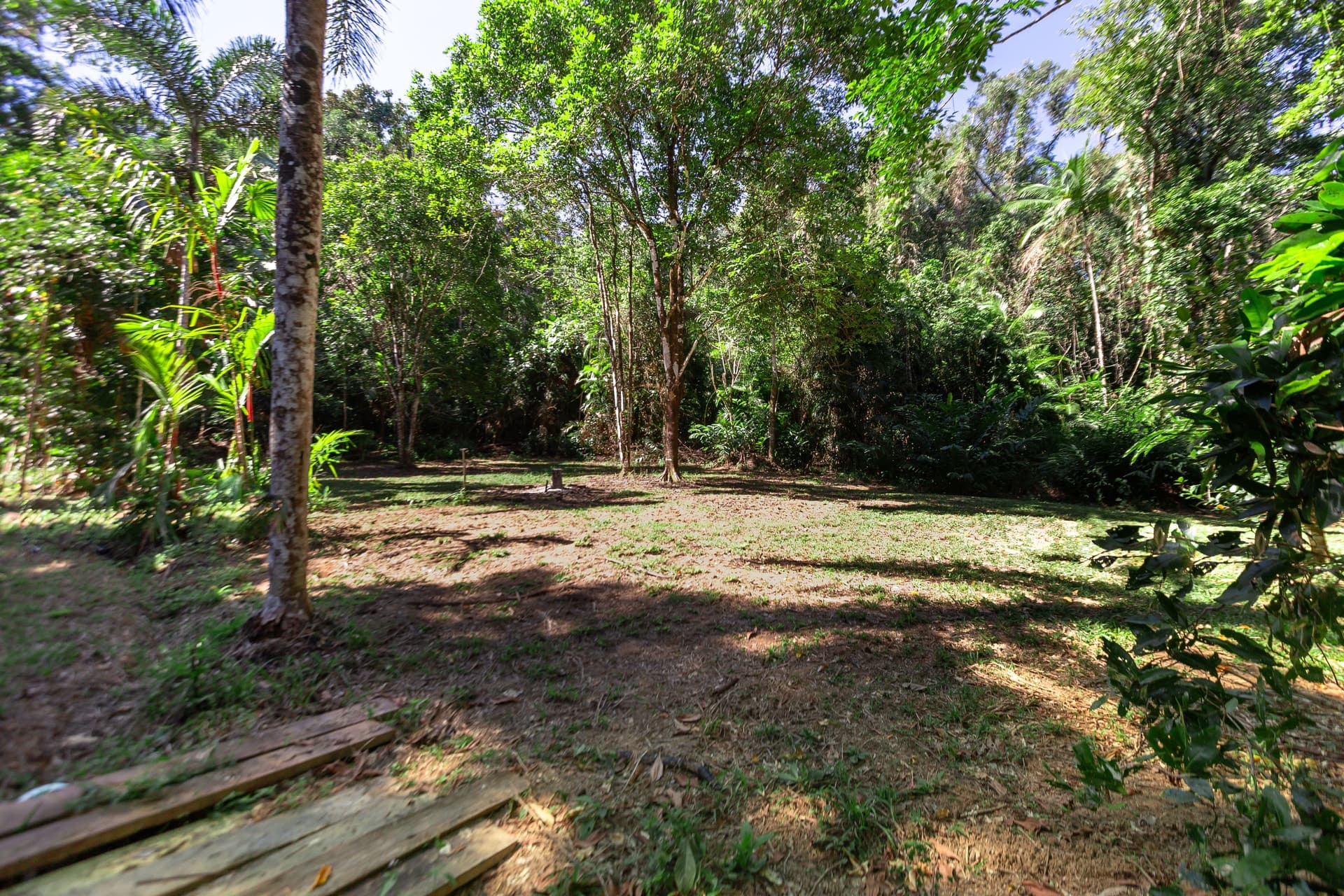 Forest Creek, Forest Creek - Thumbnail 8