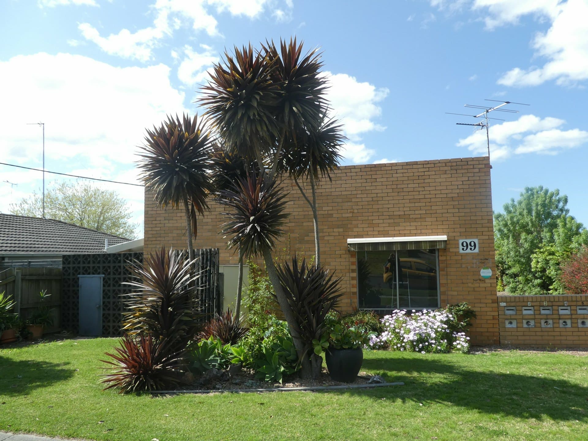 Unit 1/99 Day Street, Bairnsdale, Bairnsdale - Image 1