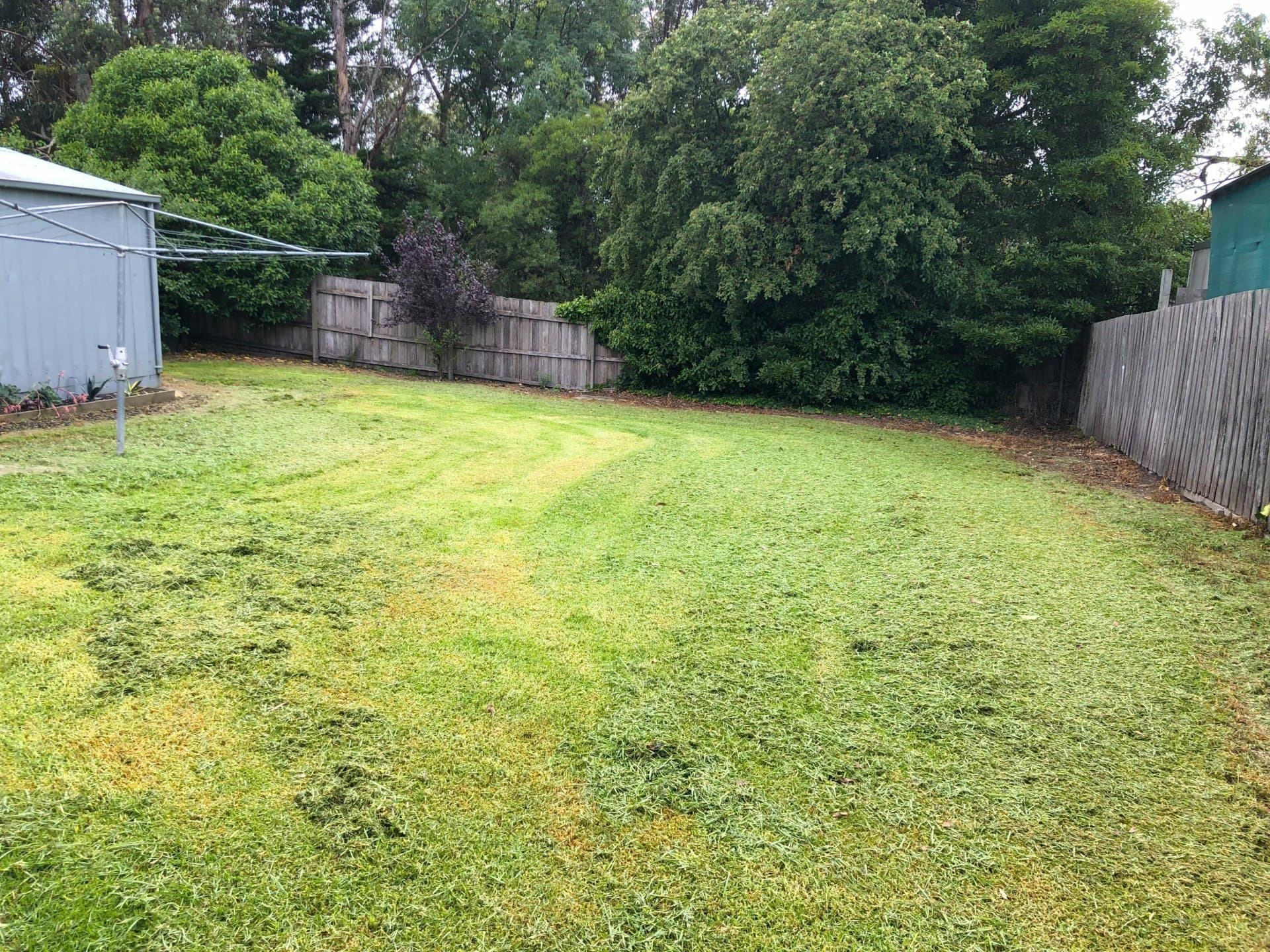 13 Davies Street, Bairnsdale, Bairnsdale - Thumbnail 6