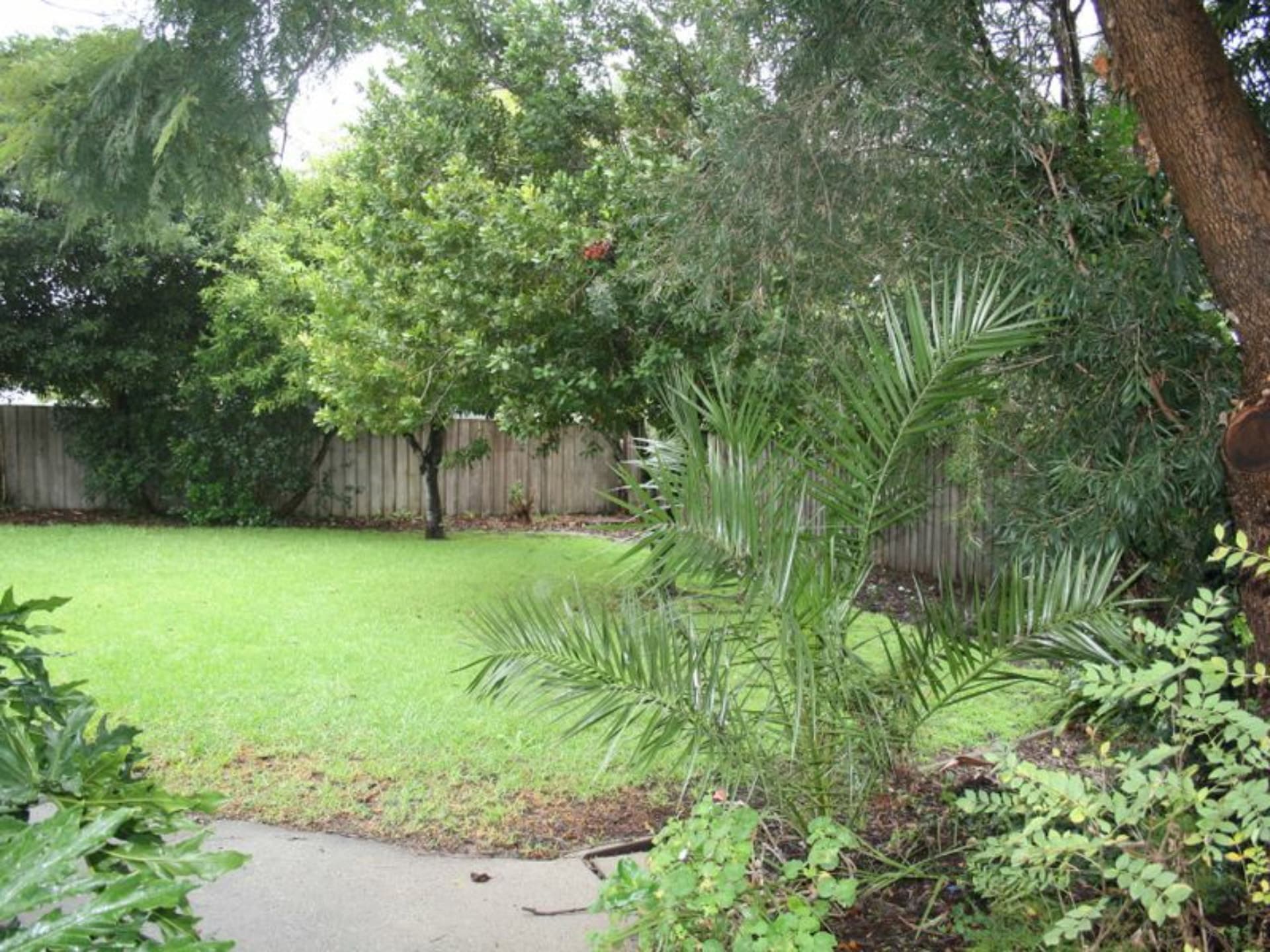 51 Mceacharn Street, Bairnsdale, Bairnsdale - Thumbnail 7