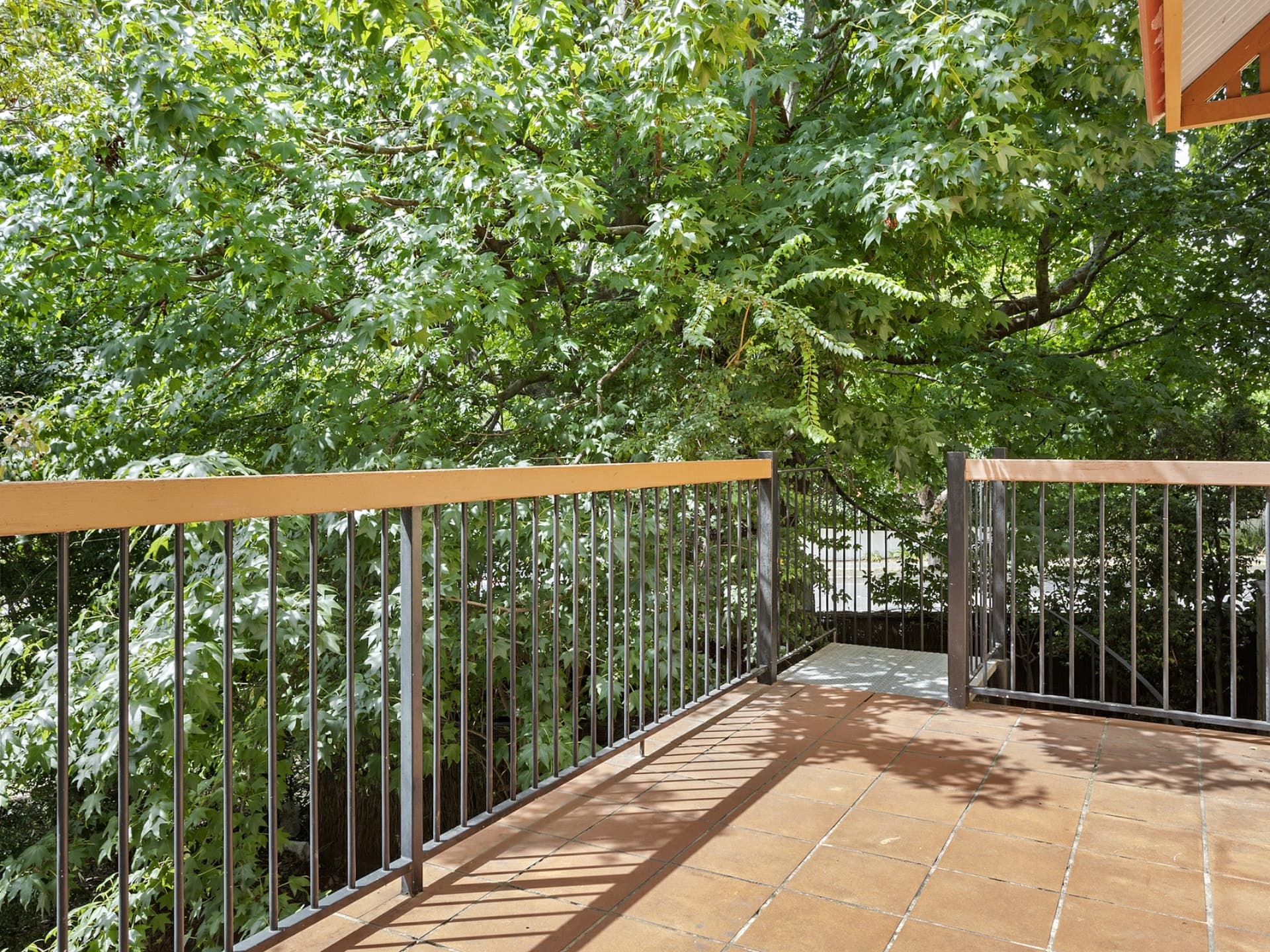 1/109 Griffiths Street, Balgowlah, Balgowlah - Thumbnail 6