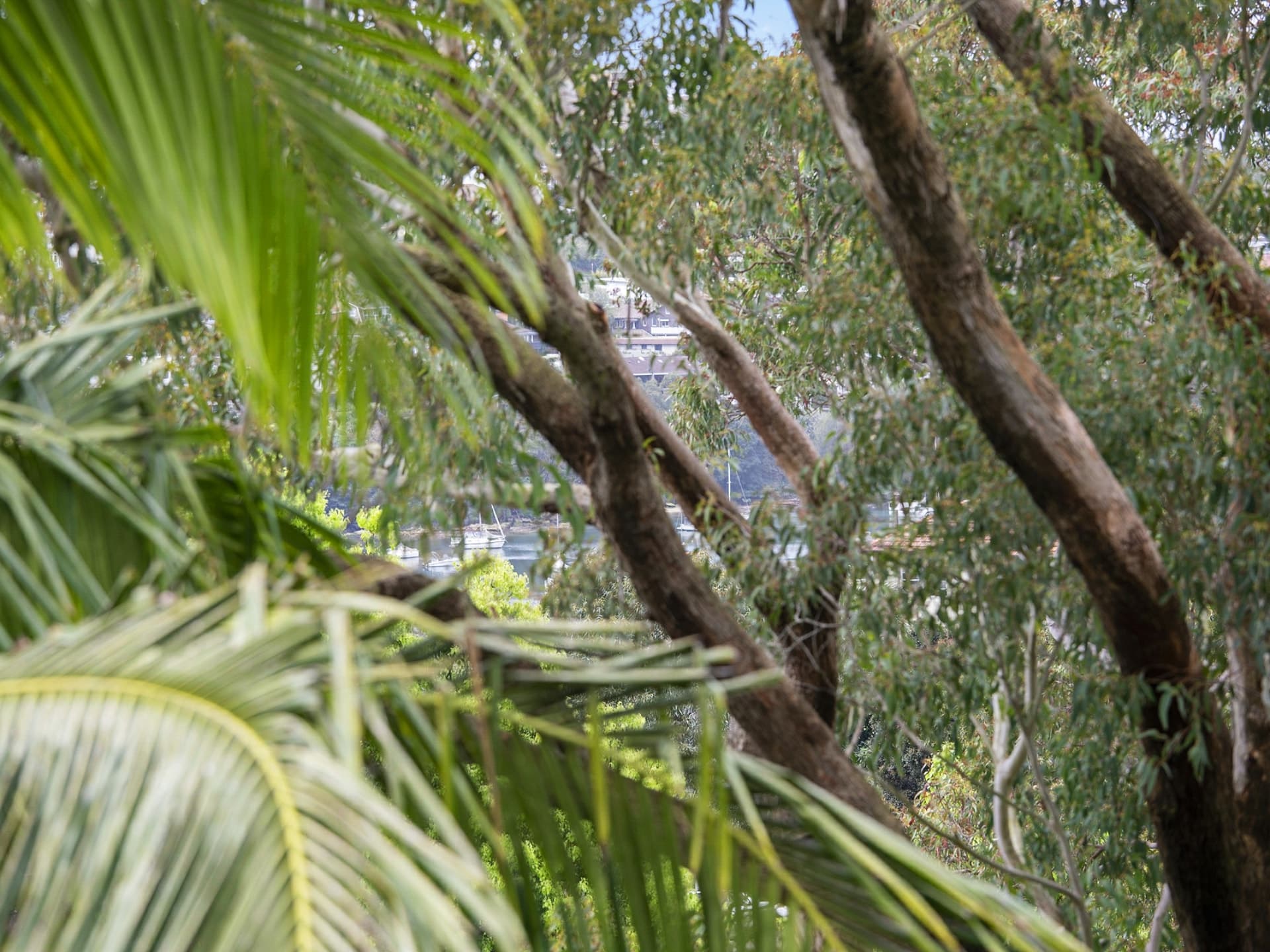 5/6 West Street, Balgowlah, Balgowlah - Thumbnail 7
