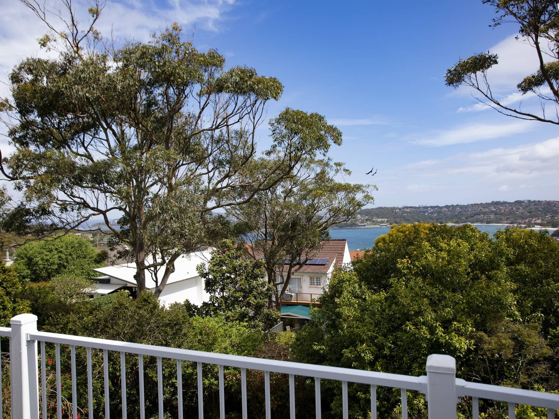 19 Adelaide Street, Balgowlah Heights, Clontarf - Thumbnail 5