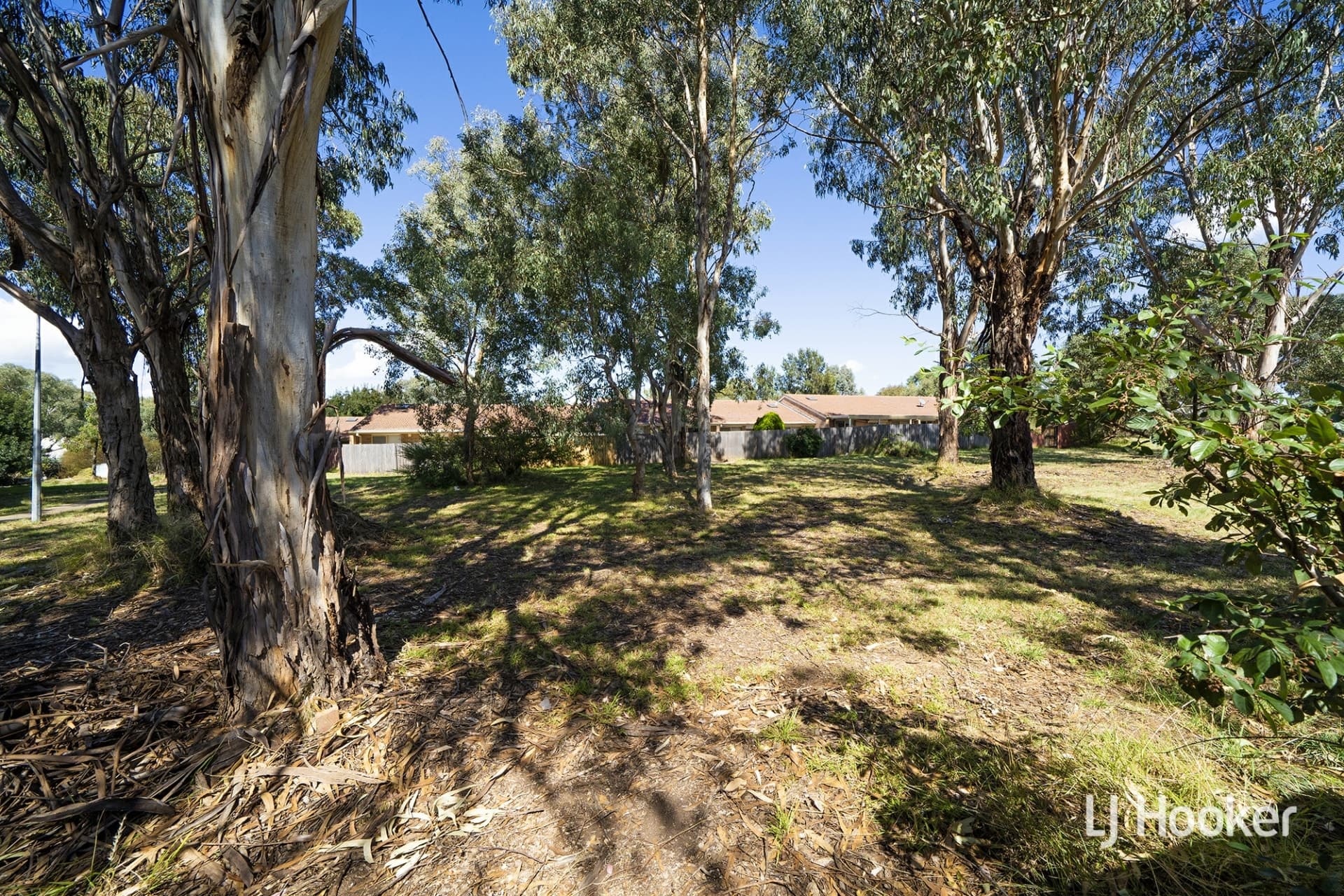 8/57 Totterdell Street, Belconnen, Belconnen - Image 1