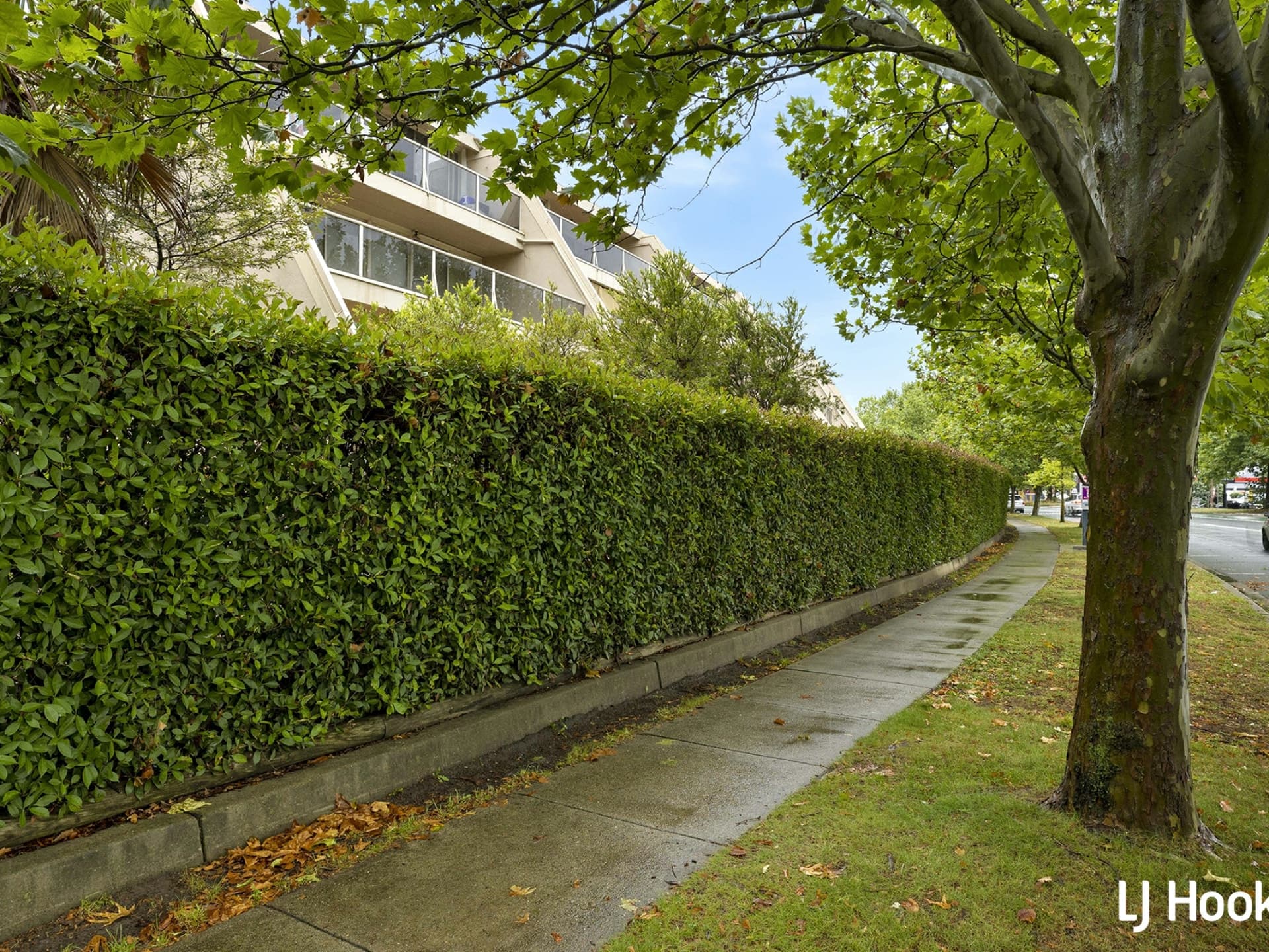 29A/17 Chandler Street, Belconnen, Belconnen - Image 1