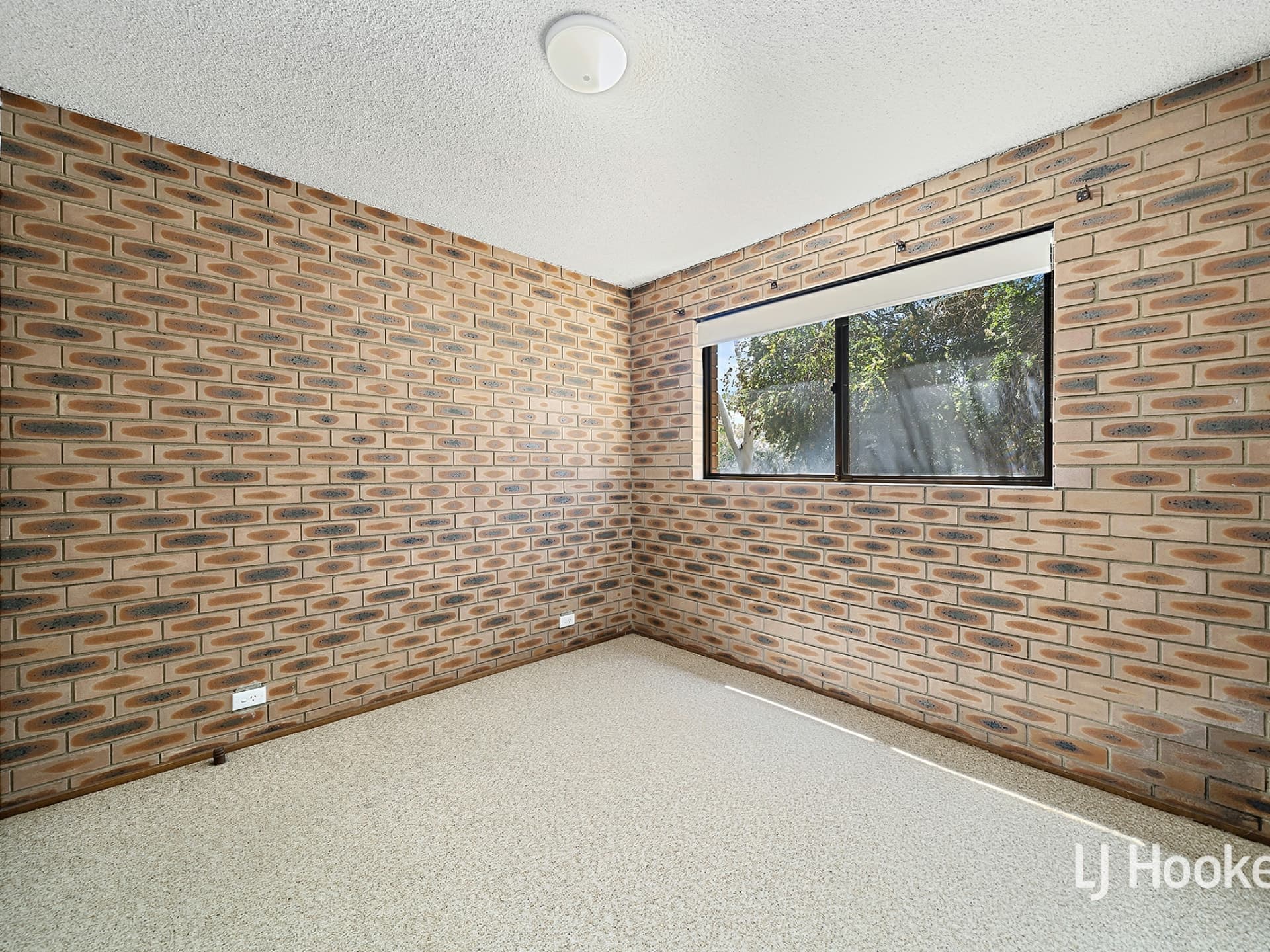 1/31 Moulden Court, Belconnen, Belconnen - Thumbnail 8