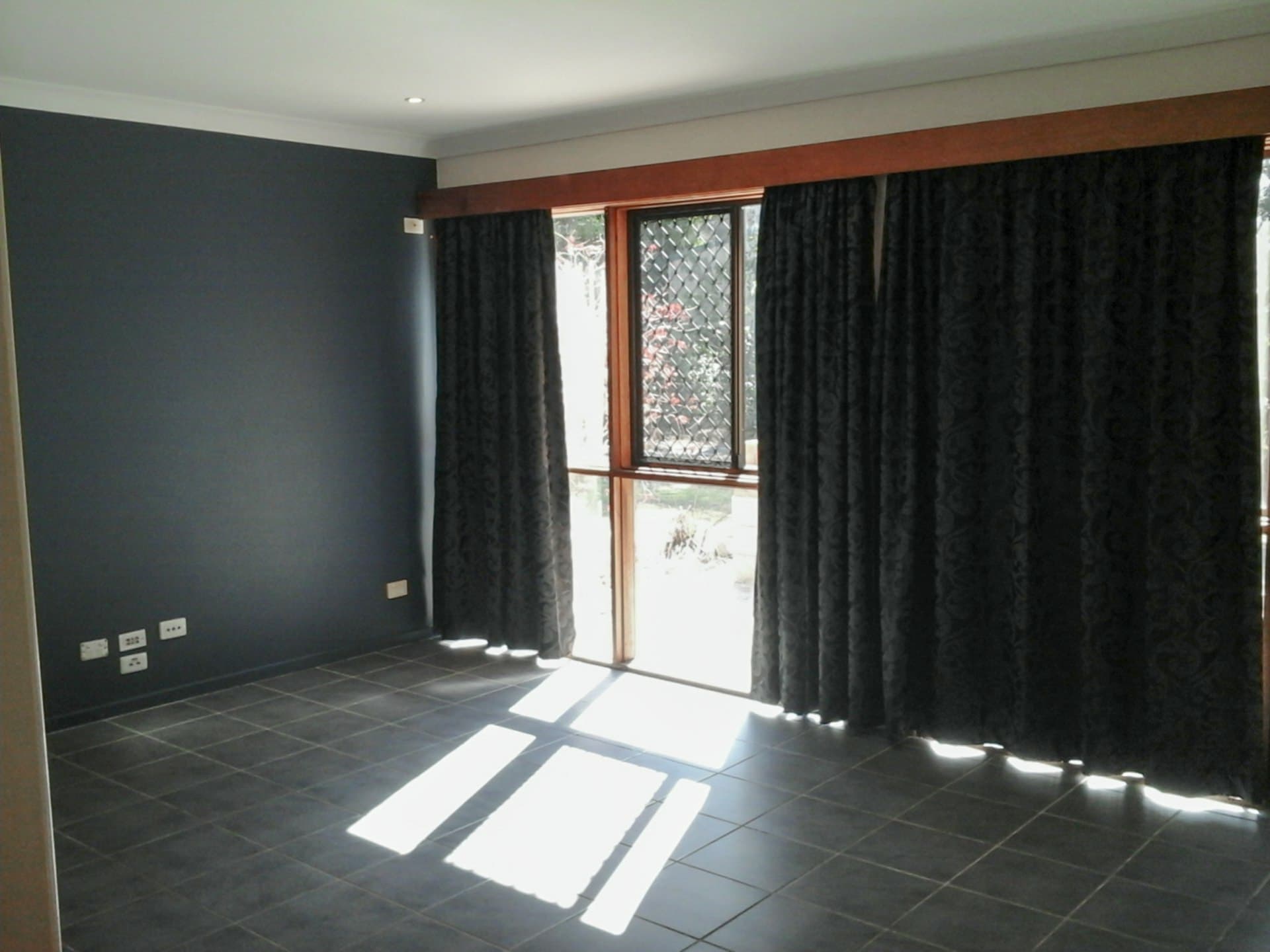 5 Hovea Street Bellara QLD, Bellara - Thumbnail 8