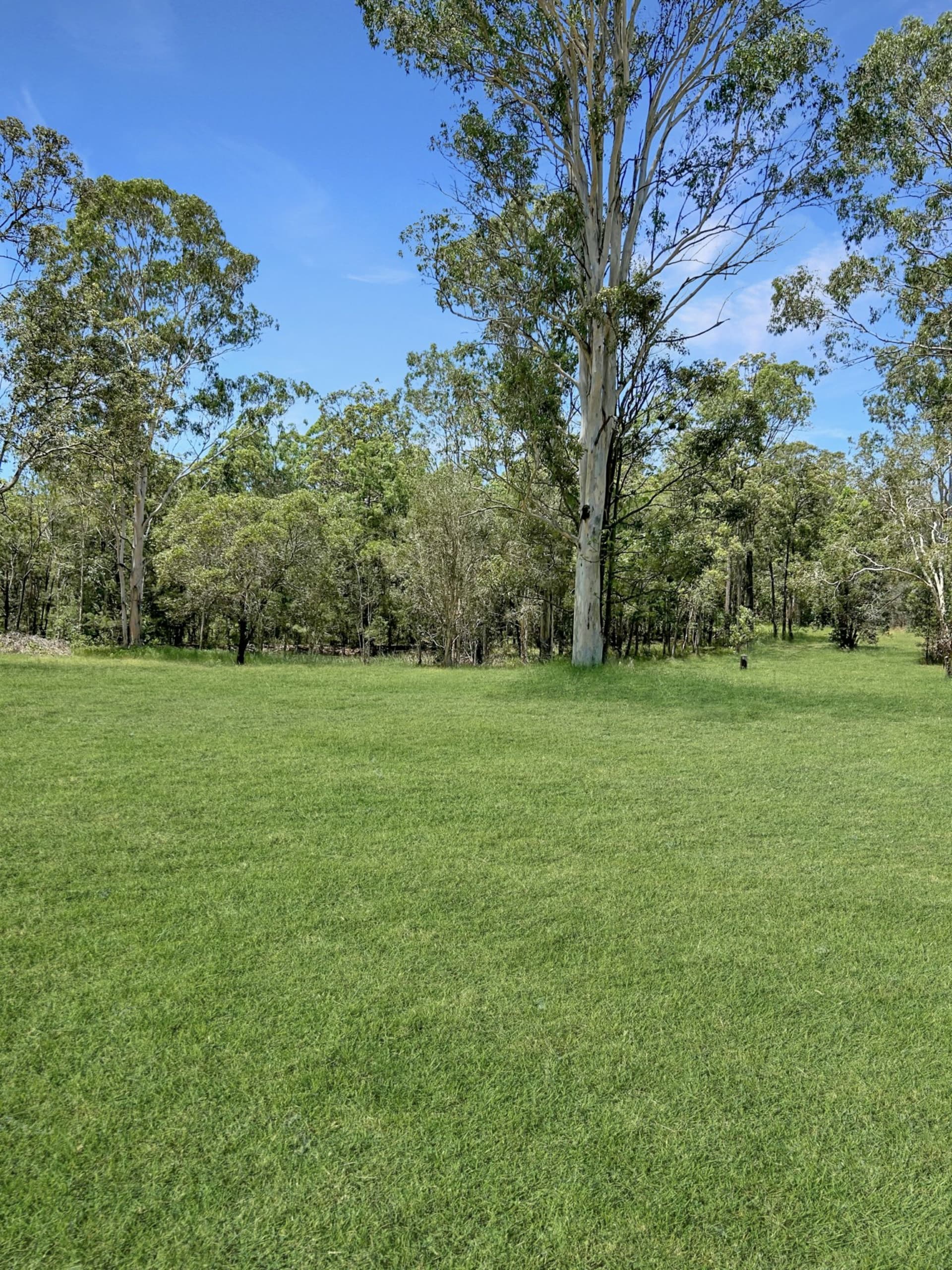 143 Behrens Road Bellmere QLD, Bellmere - Image 1