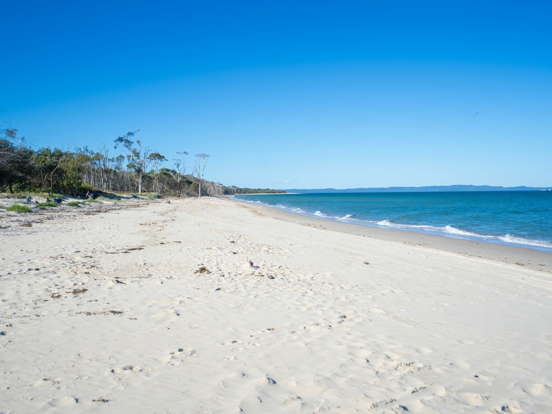 19 Ford Street Bongaree QLD, Bongaree - Image 1